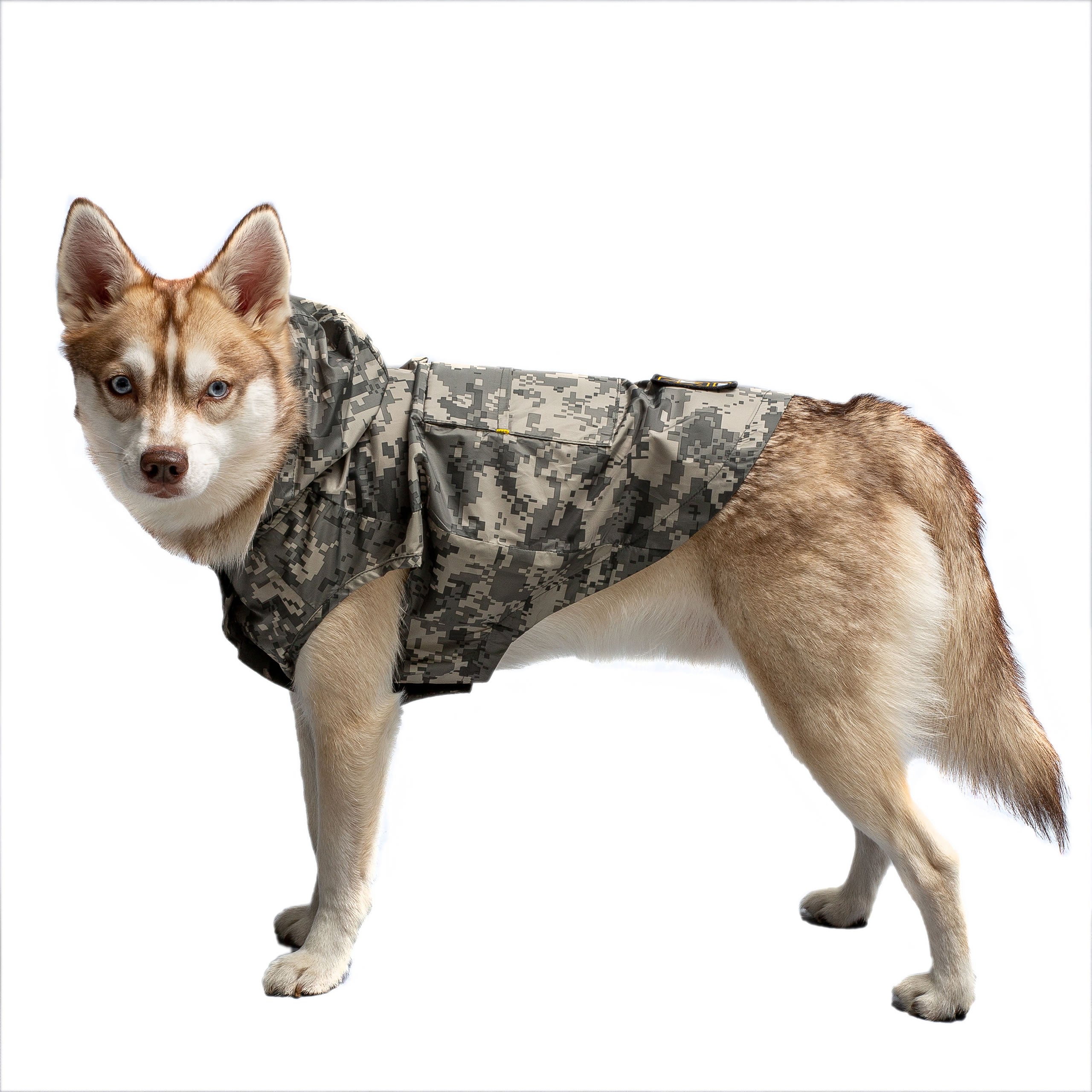 DESIGNER-DOG-JACKETS-COATS LUNESCAPE
