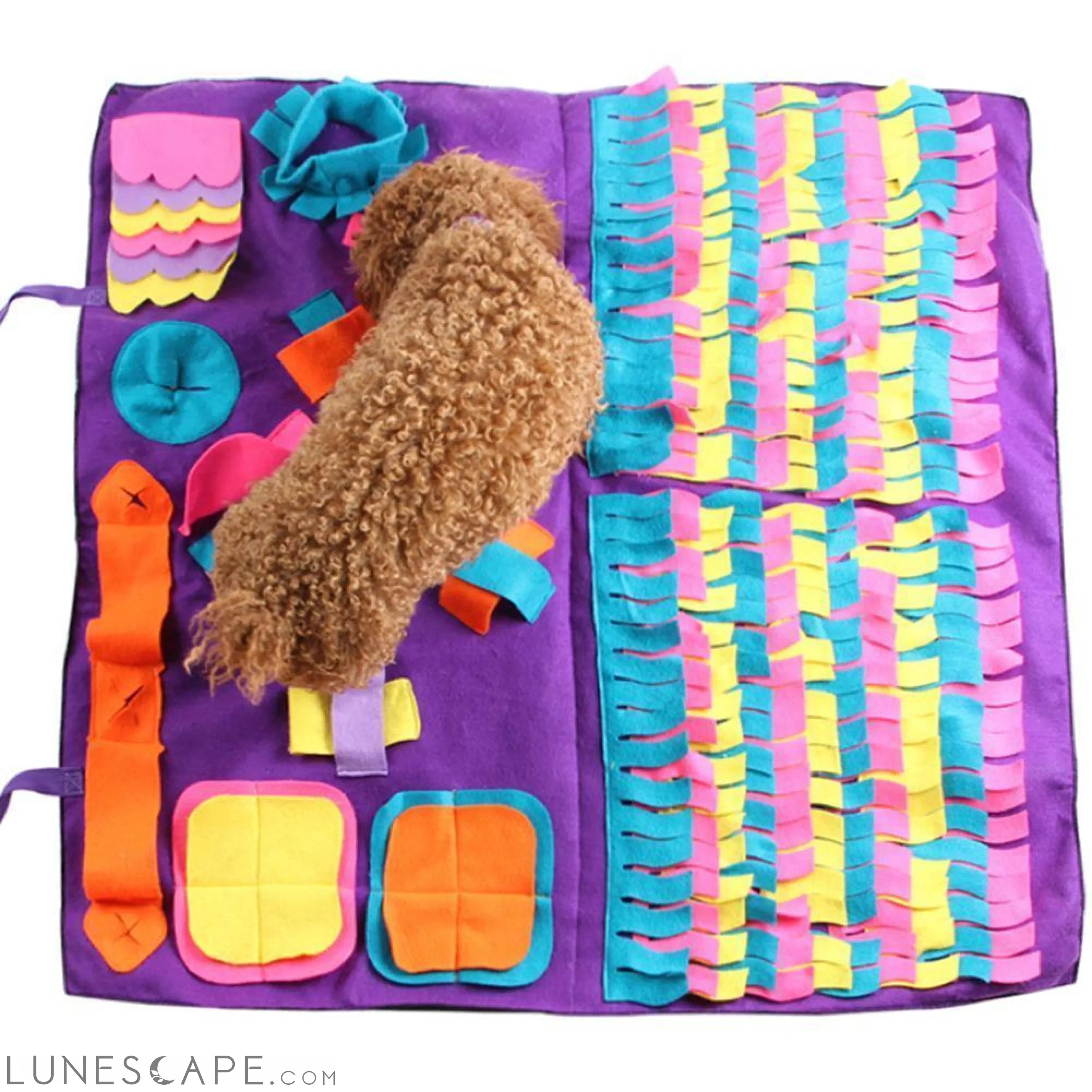 DESIGNER-DOG-TOYS LUNESCAPE