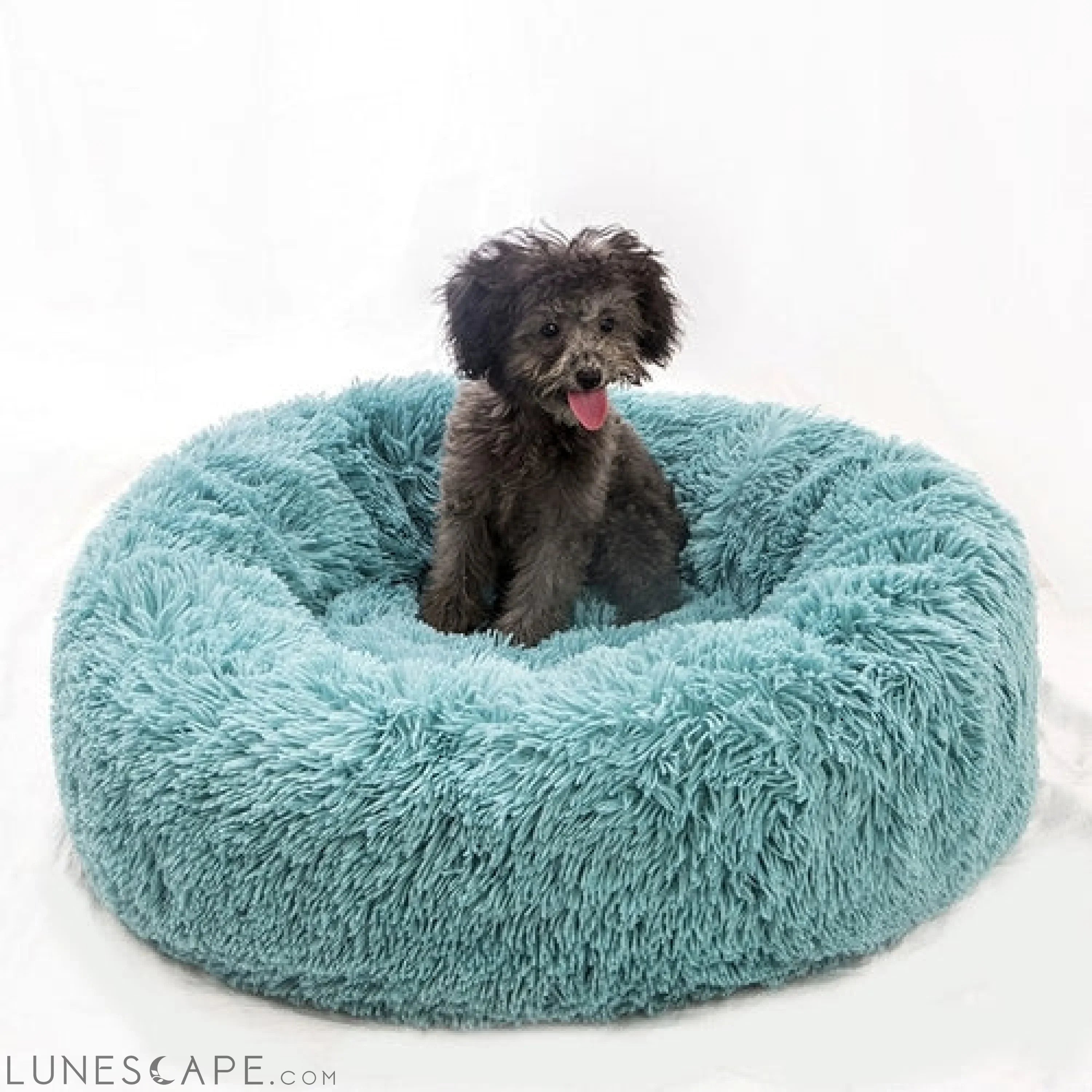 DESIGNER-DOG-BEDS-BLANKETS LUNESCAPE