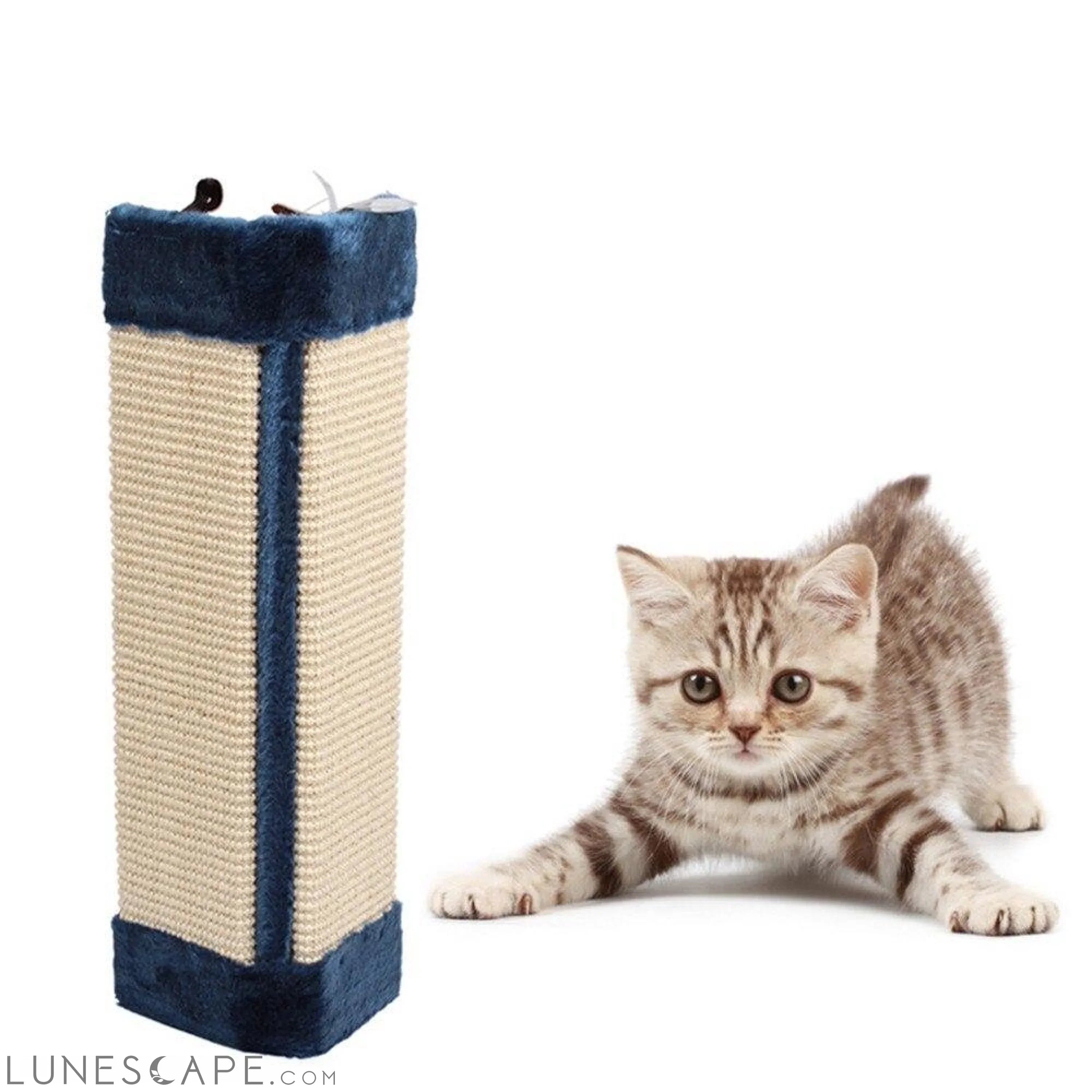 DESIGNER-CAT-SCRATCHING-POSTS LUNESCAPE