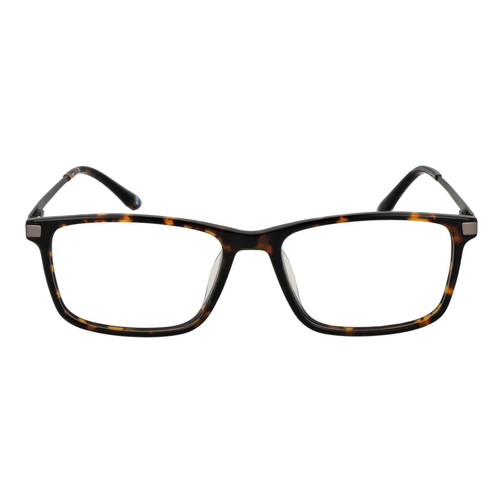 BMW Brown Titanium Glasses (Frames)