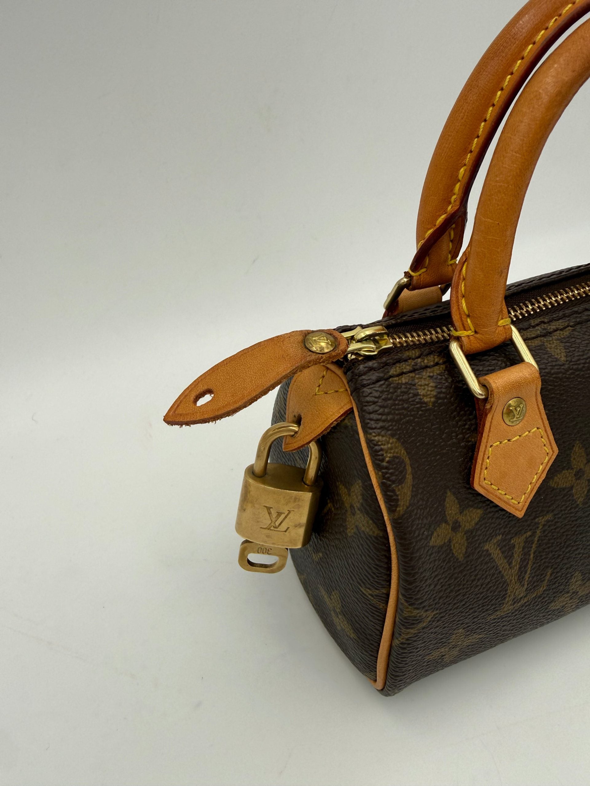 Louis Vuitton LOUIS VUITTON Nano Speedy Monogram Handbag