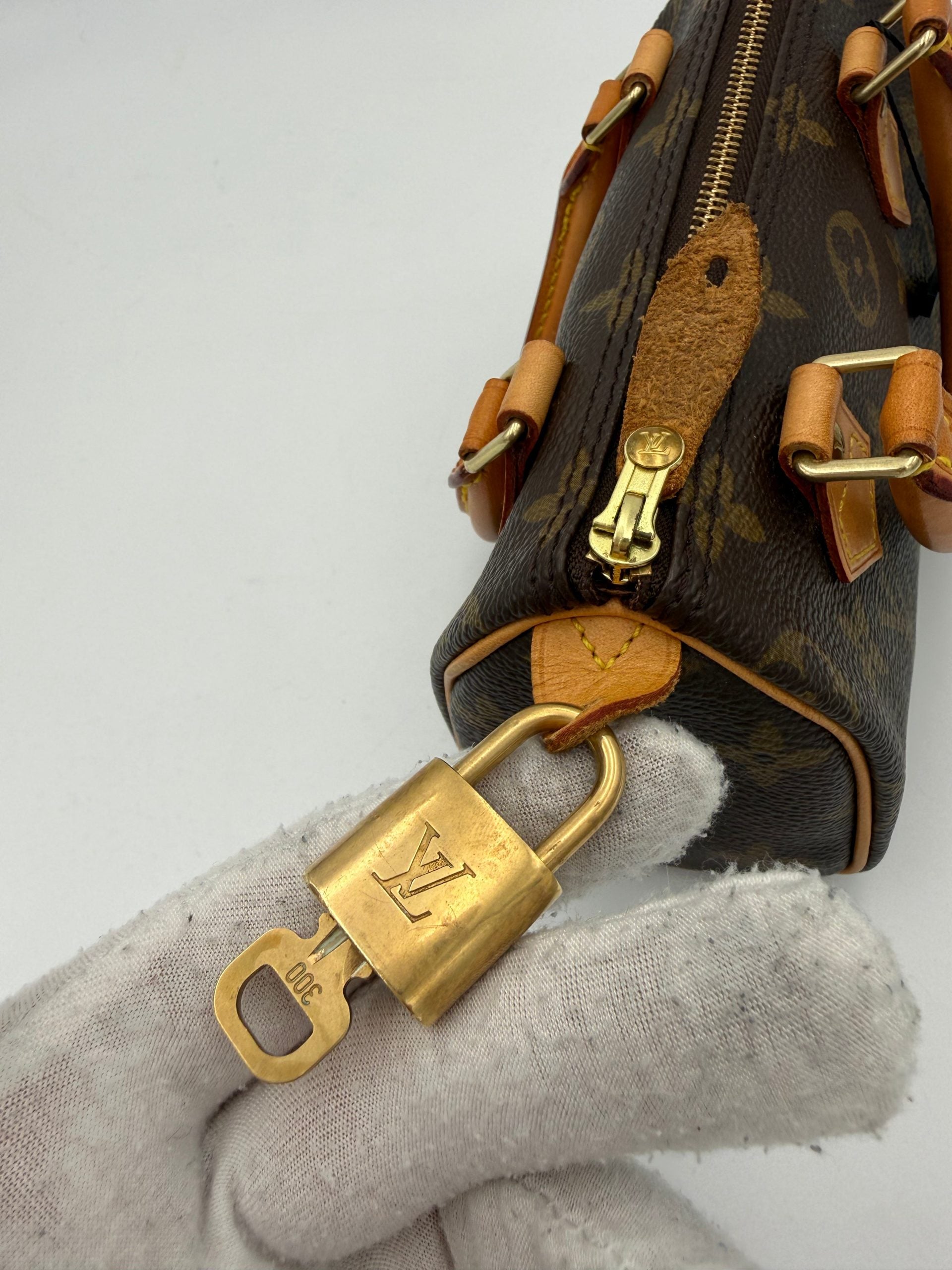 Louis Vuitton LOUIS VUITTON Nano Speedy Monogram Handbag