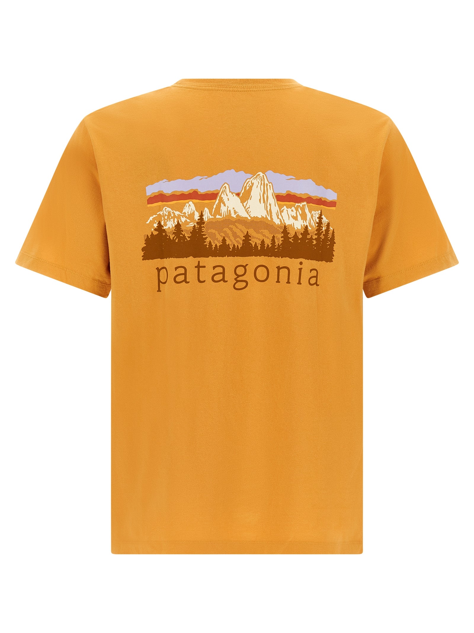 PATAGONIA Orange Cotton T-Shirt
