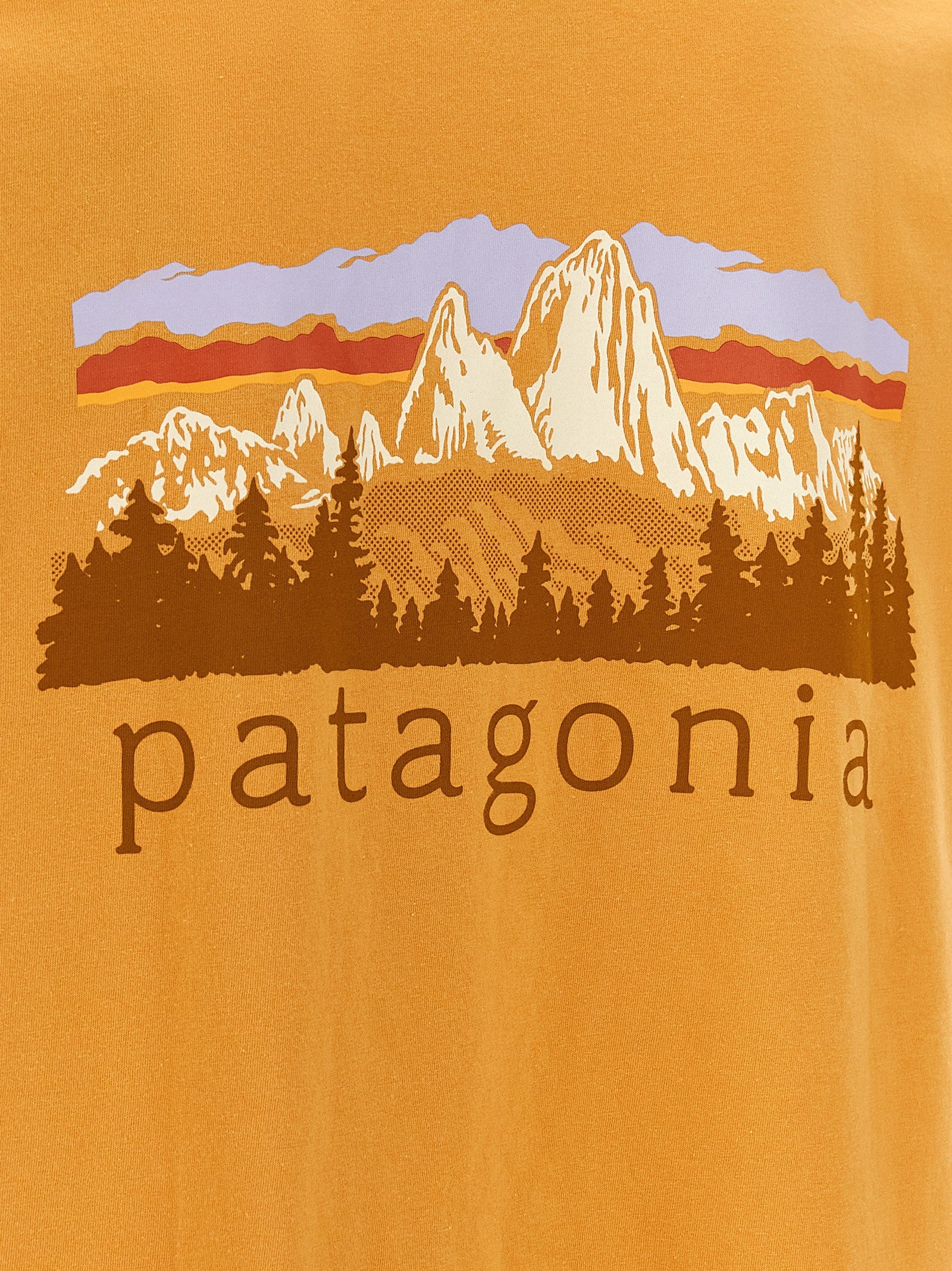 PATAGONIA Orange Cotton T-Shirt