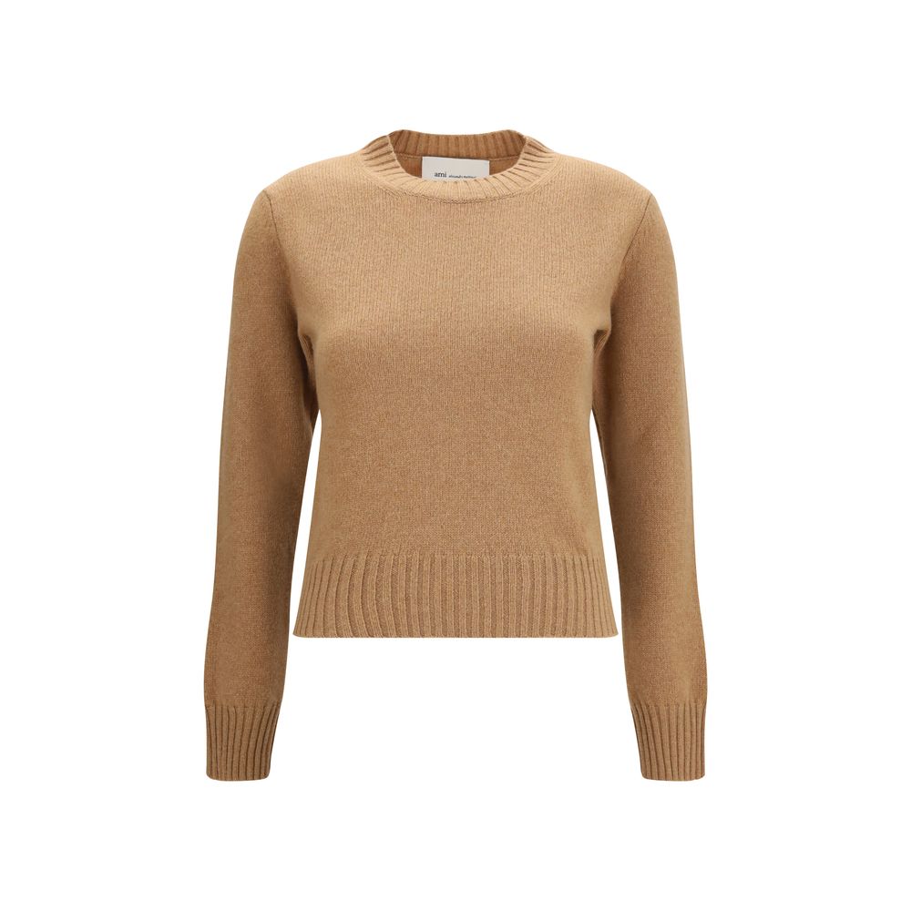 Ami Paris Brown Wool Oves Aries Sweatshirt