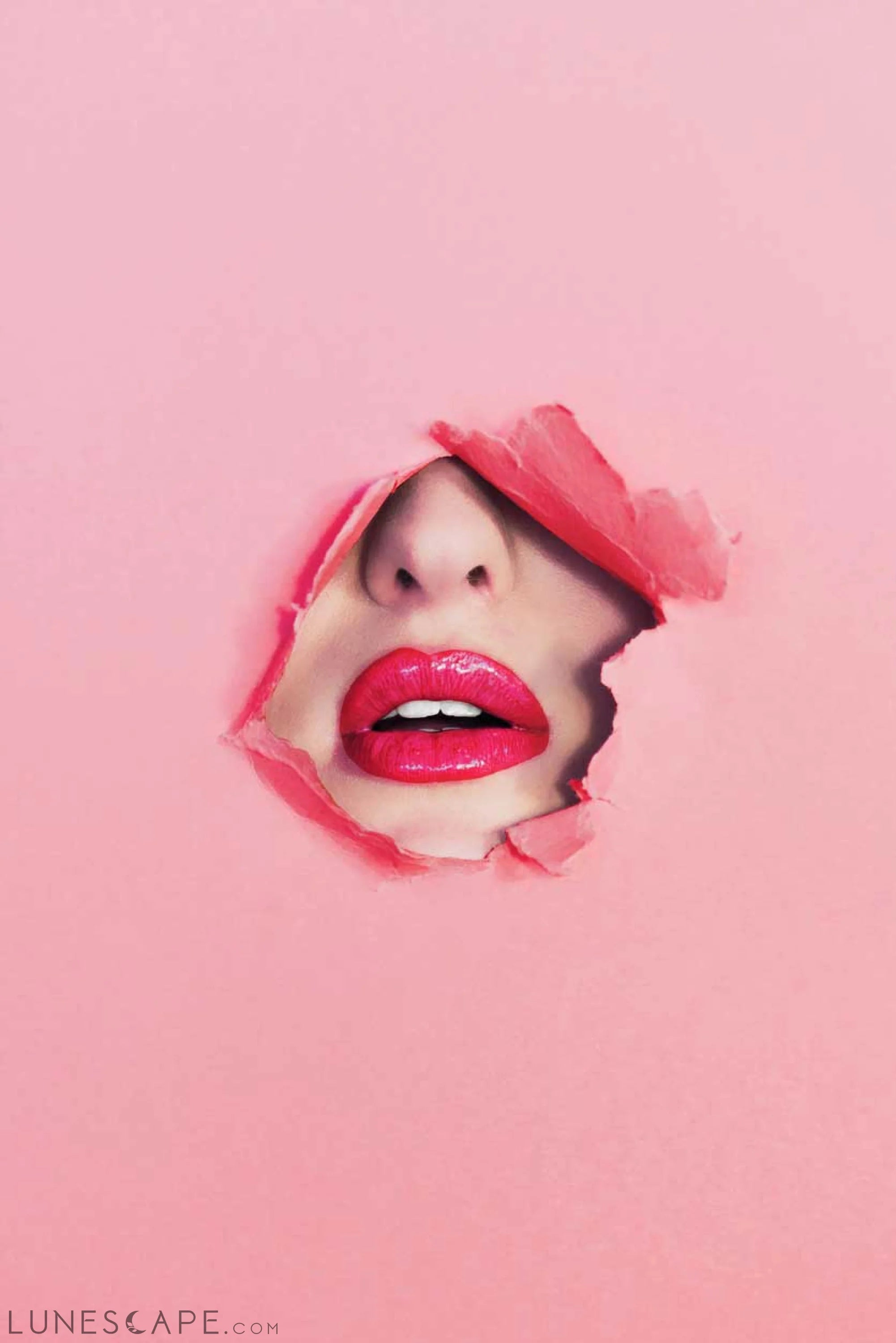 2882Beauty™ The Glossary Perfect Plump Lip Gloss - 28 Shades LUNESCAPE