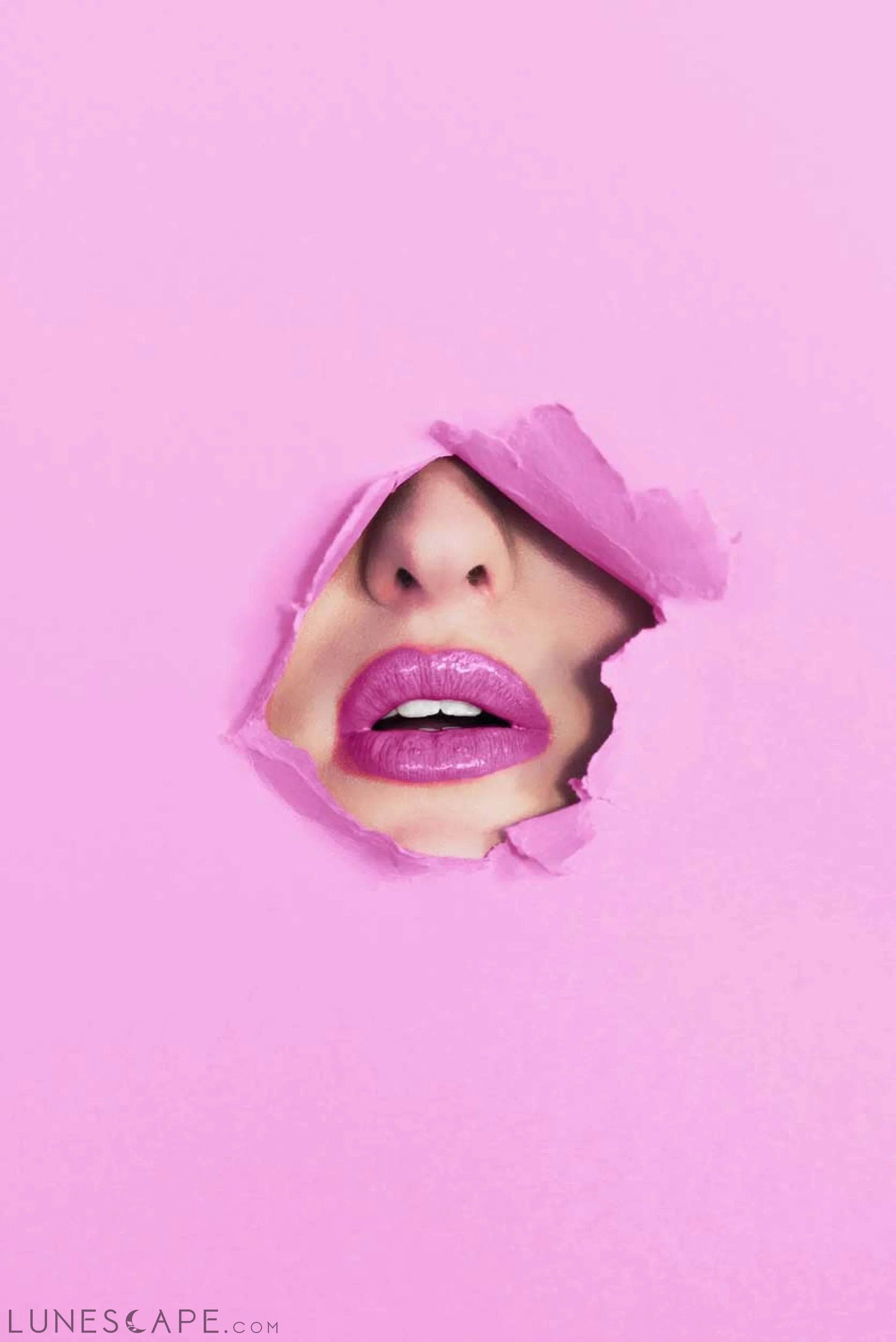 2882Beauty™ The Glossary Perfect Plump Lip Gloss - Impassioned LUNESCAPE