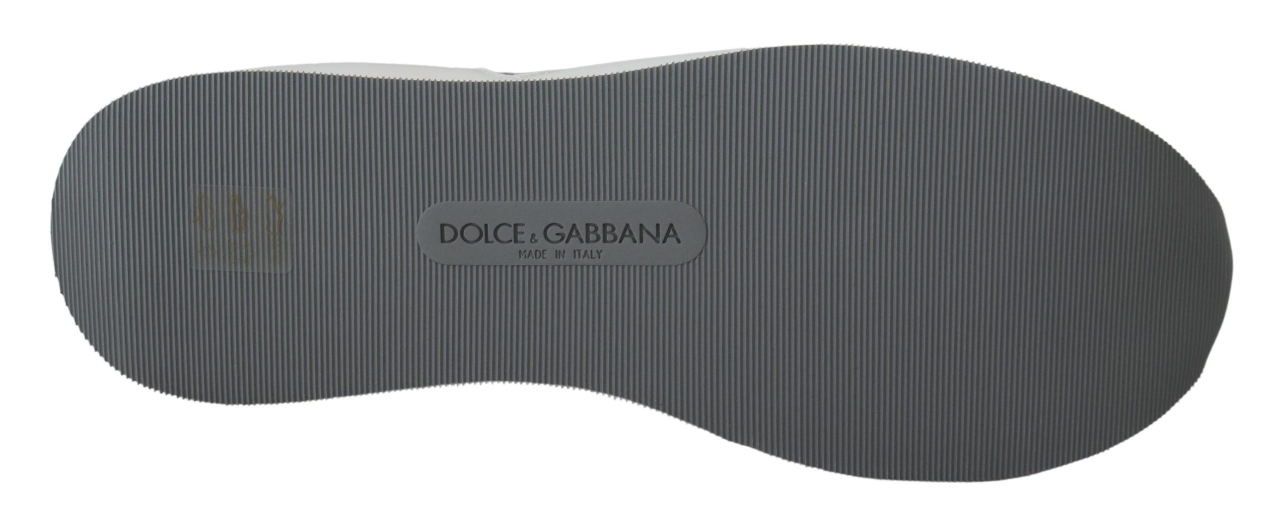 Dolce & Gabbana Multicolor Leather Sport Low Top Sneakers LUNESCAPE