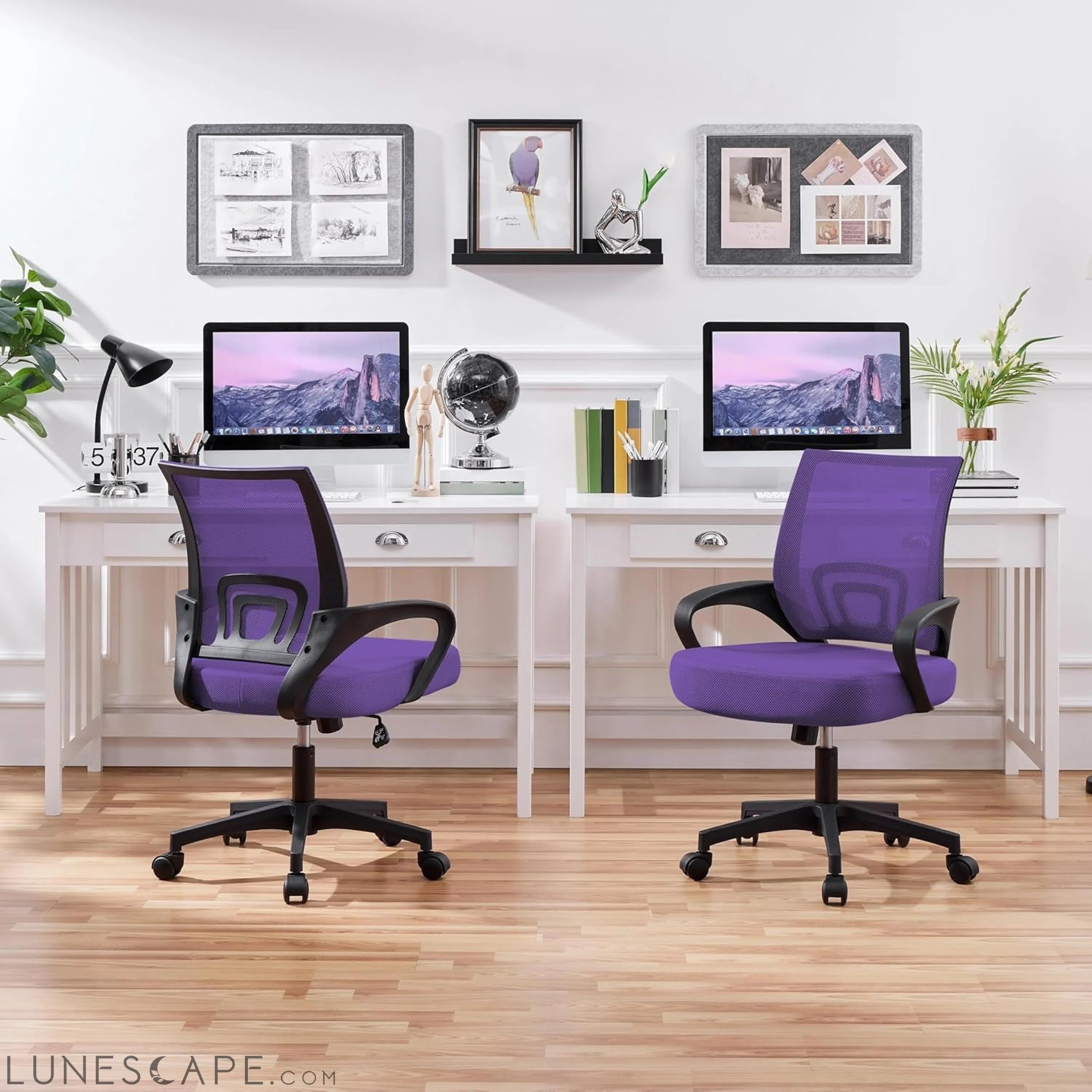 2Pcs Mesh Adjustable Desk Chairs, Ergonomic Executive Chairs with LUNESCAPE
