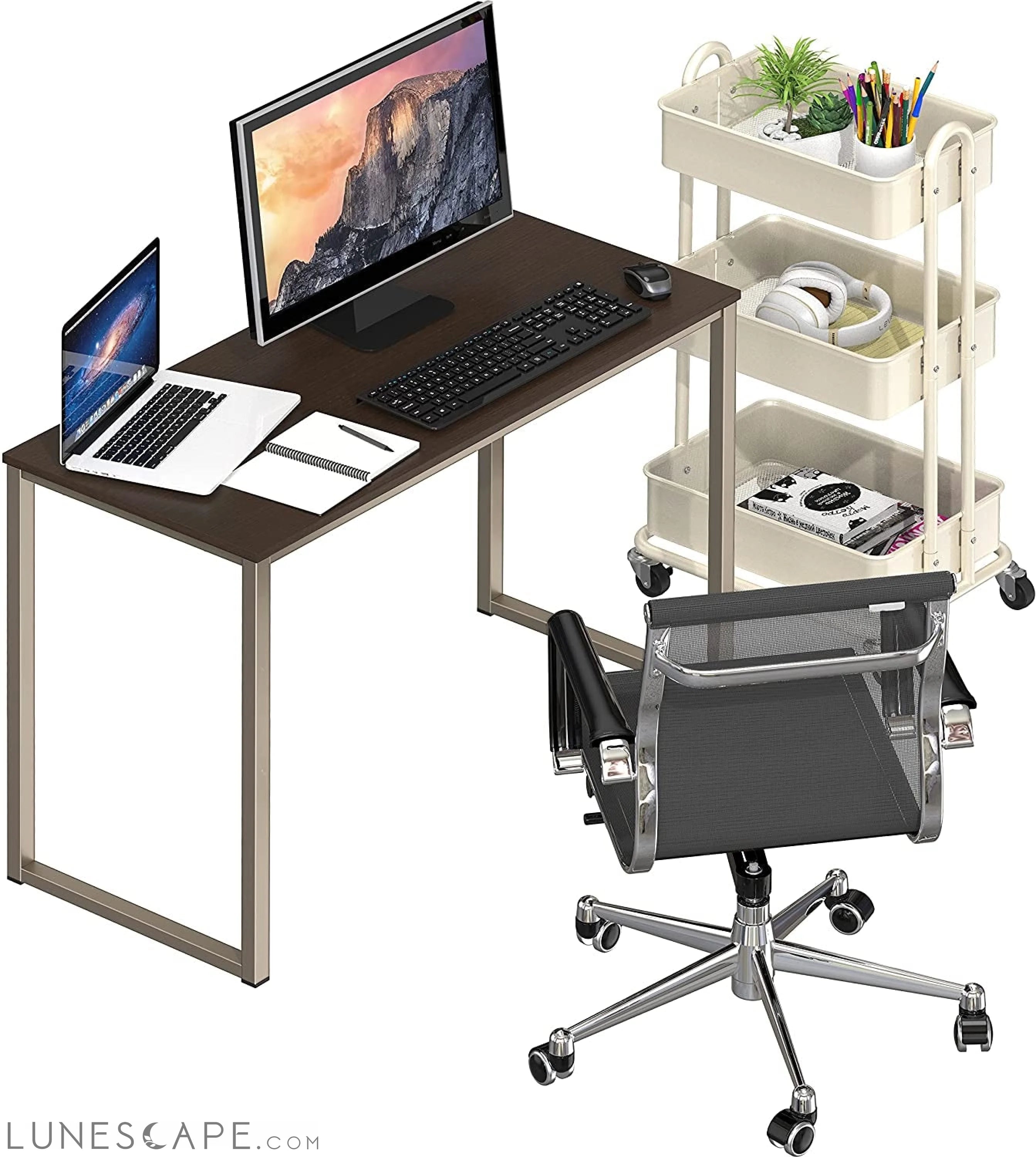 32-Inch Espresso Computer Desk for Home Office LUNESCAPE
