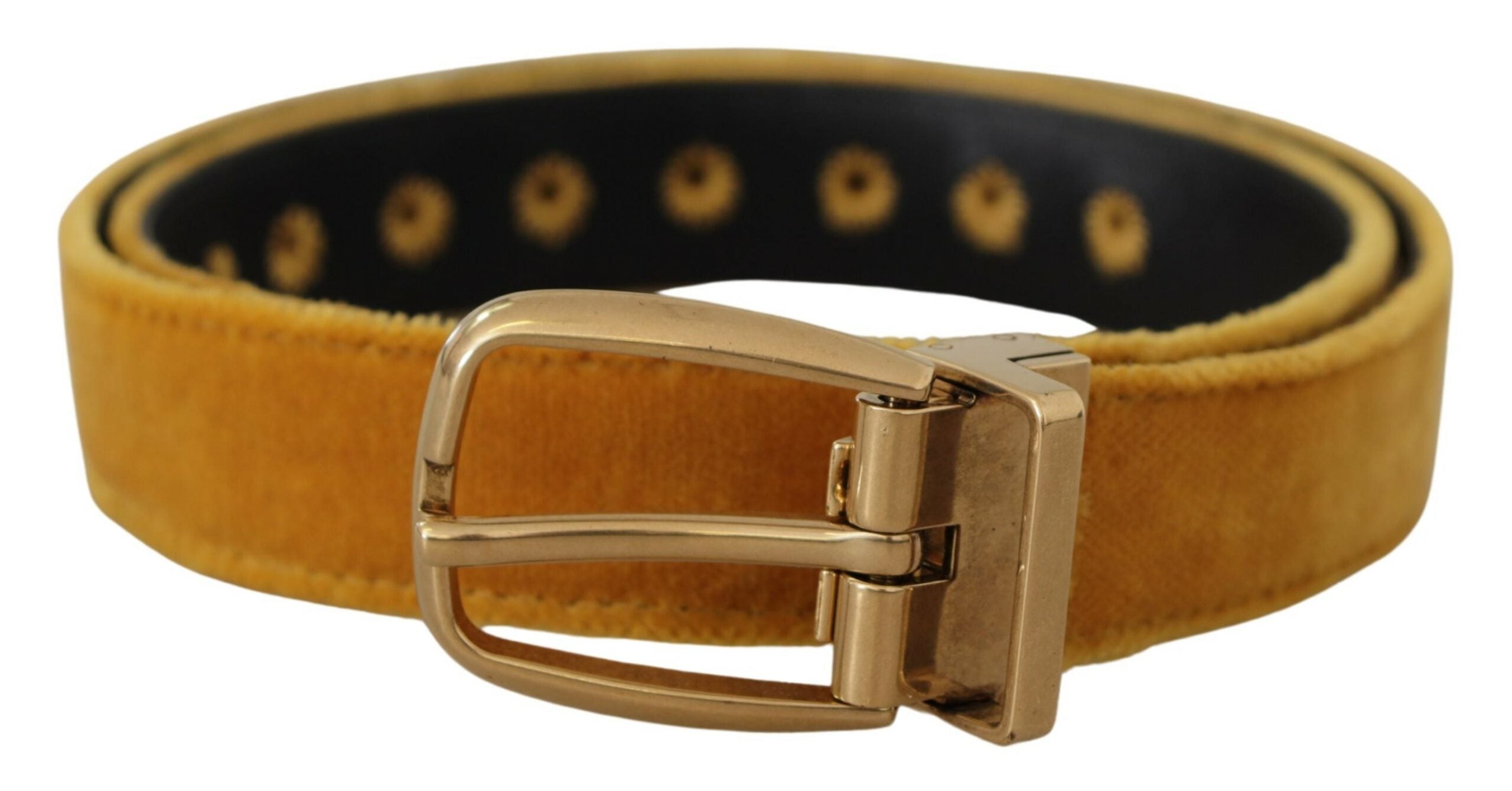 Dolce & Gabbana Elegant Velvet Gold Buckle Women's Belt LUNESCAPE