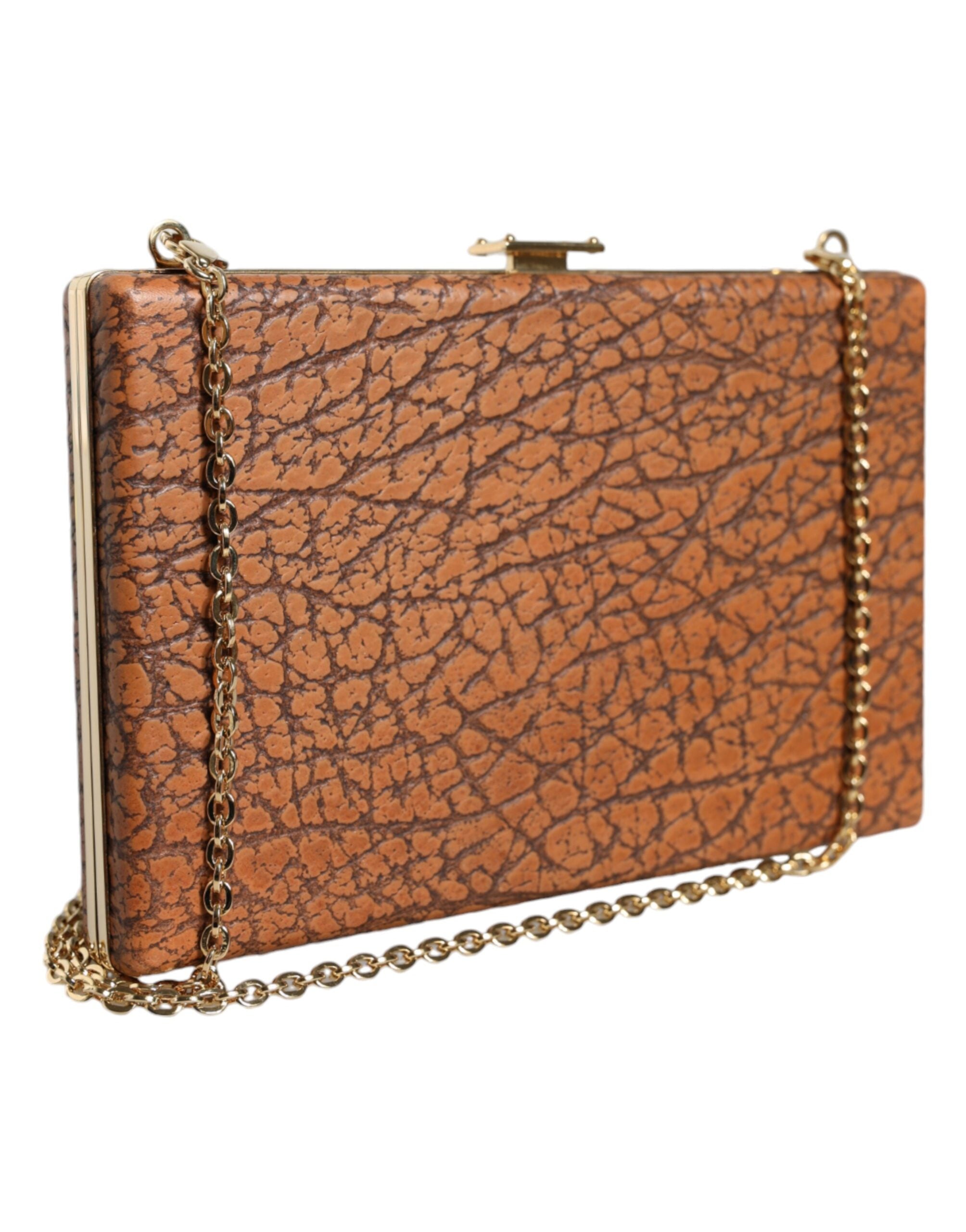 Dolce & Gabbana Brown Leather Gold Frame Clutch Mini Crossbody Bag LUNESCAPE