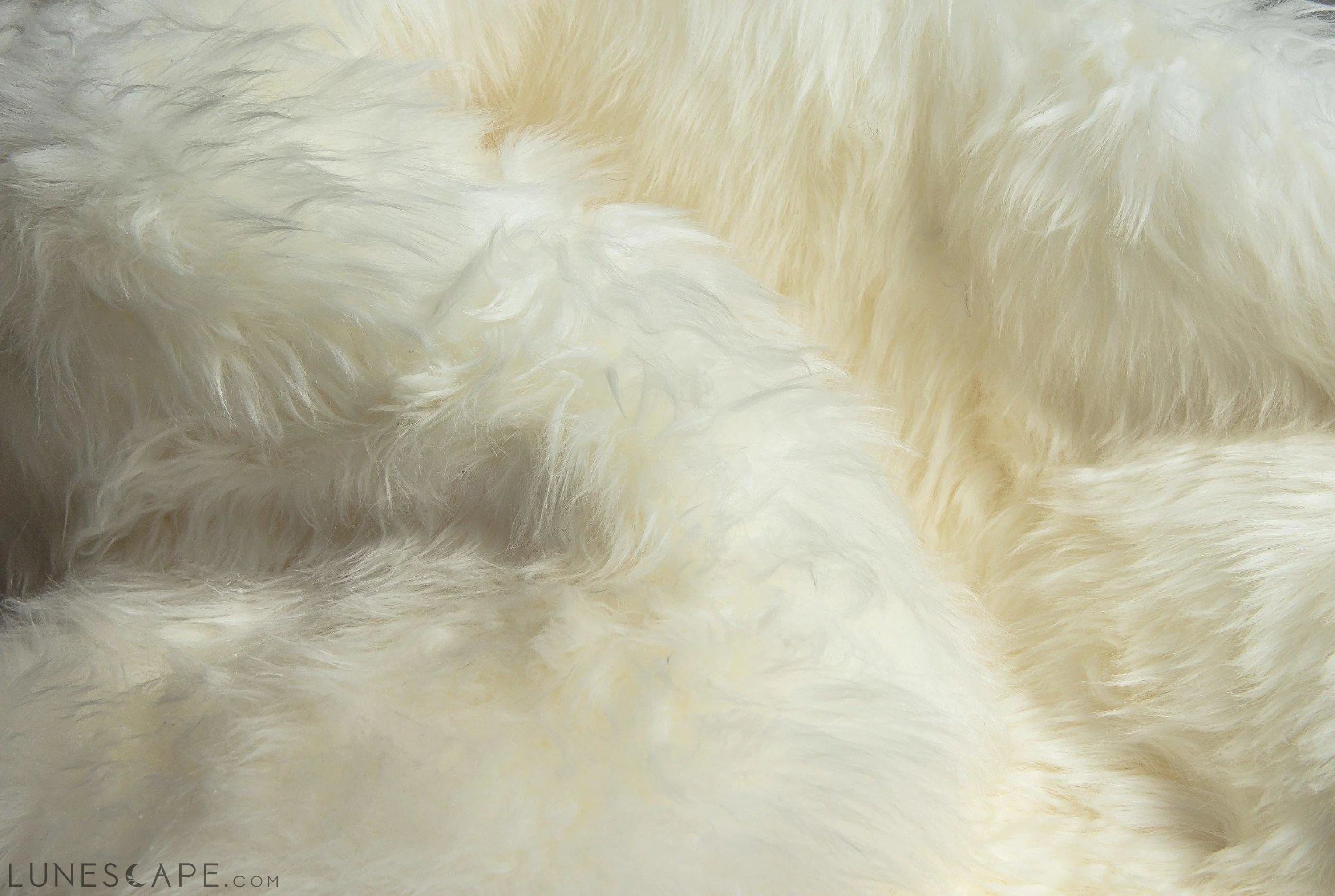 48" x 72" x 2" Natural, Sheepskin - Area Rug LUNESCAPE