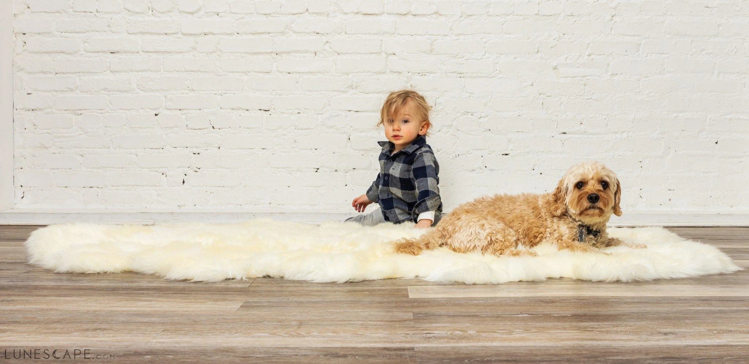 48" x 72" x 2" Natural, Sheepskin - Area Rug LUNESCAPE