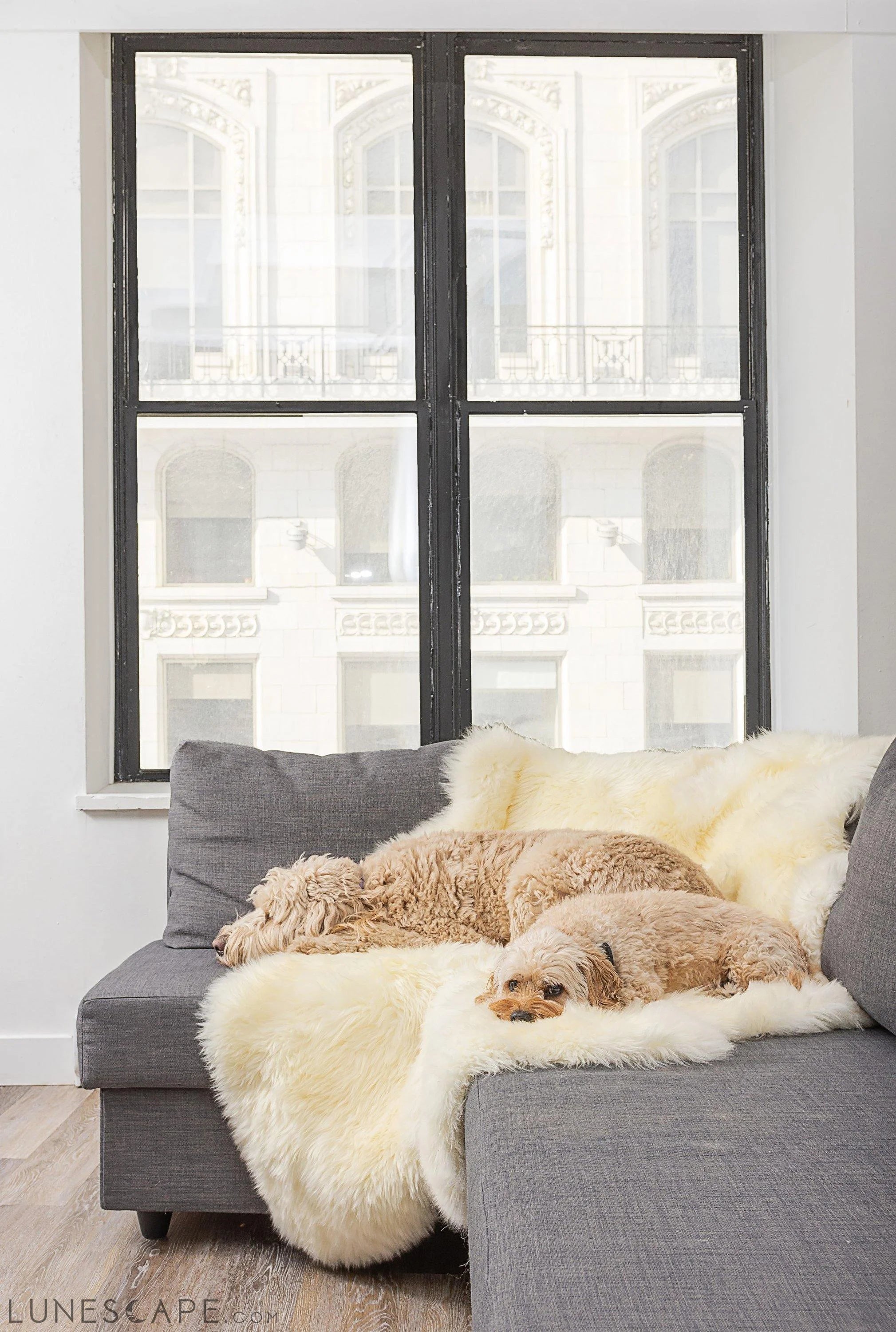48" x 72" x 2" Natural, Sheepskin - Area Rug LUNESCAPE