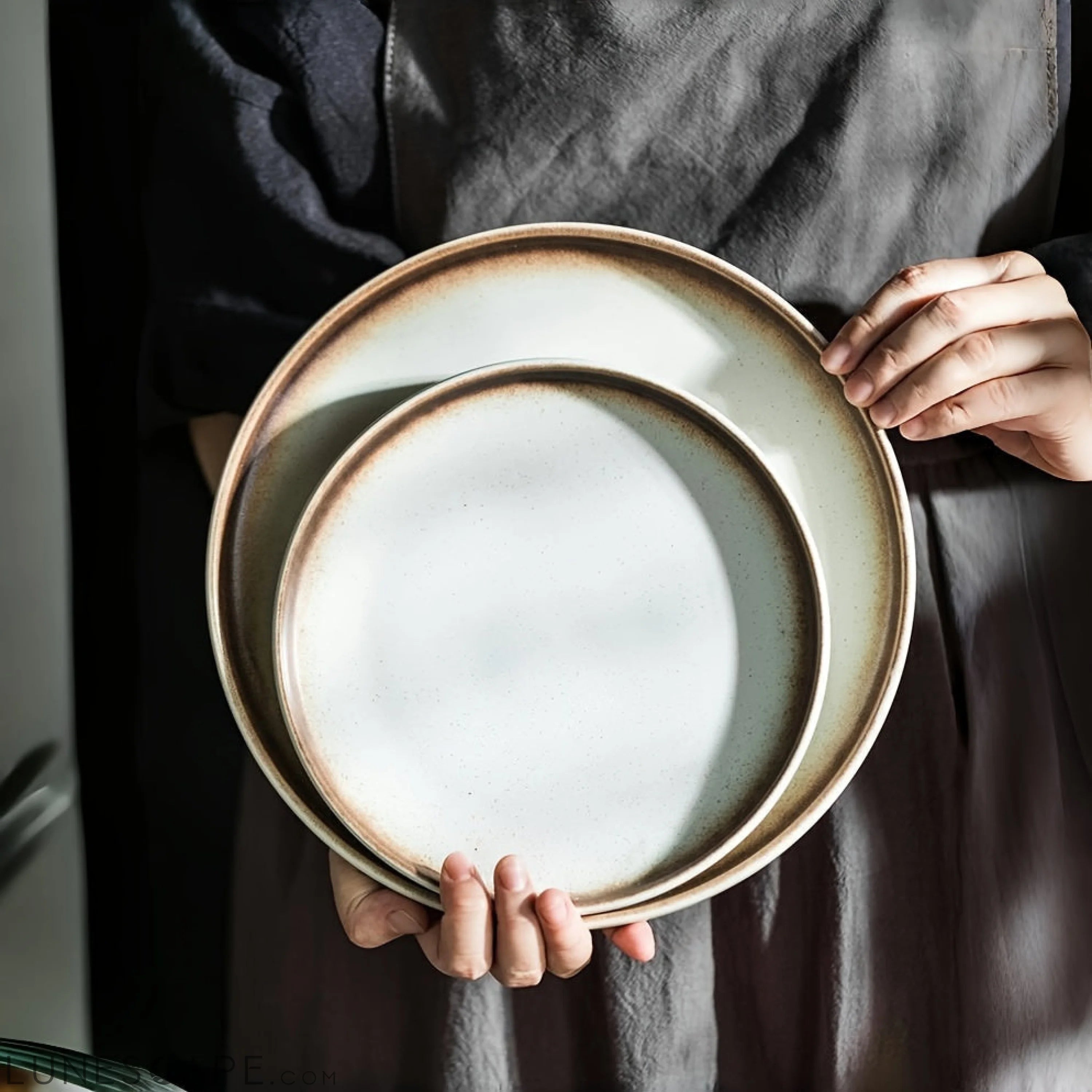 4Piece Mocha Gold 8Inch Ceramic Dinner Plate Set LUNESCAPE