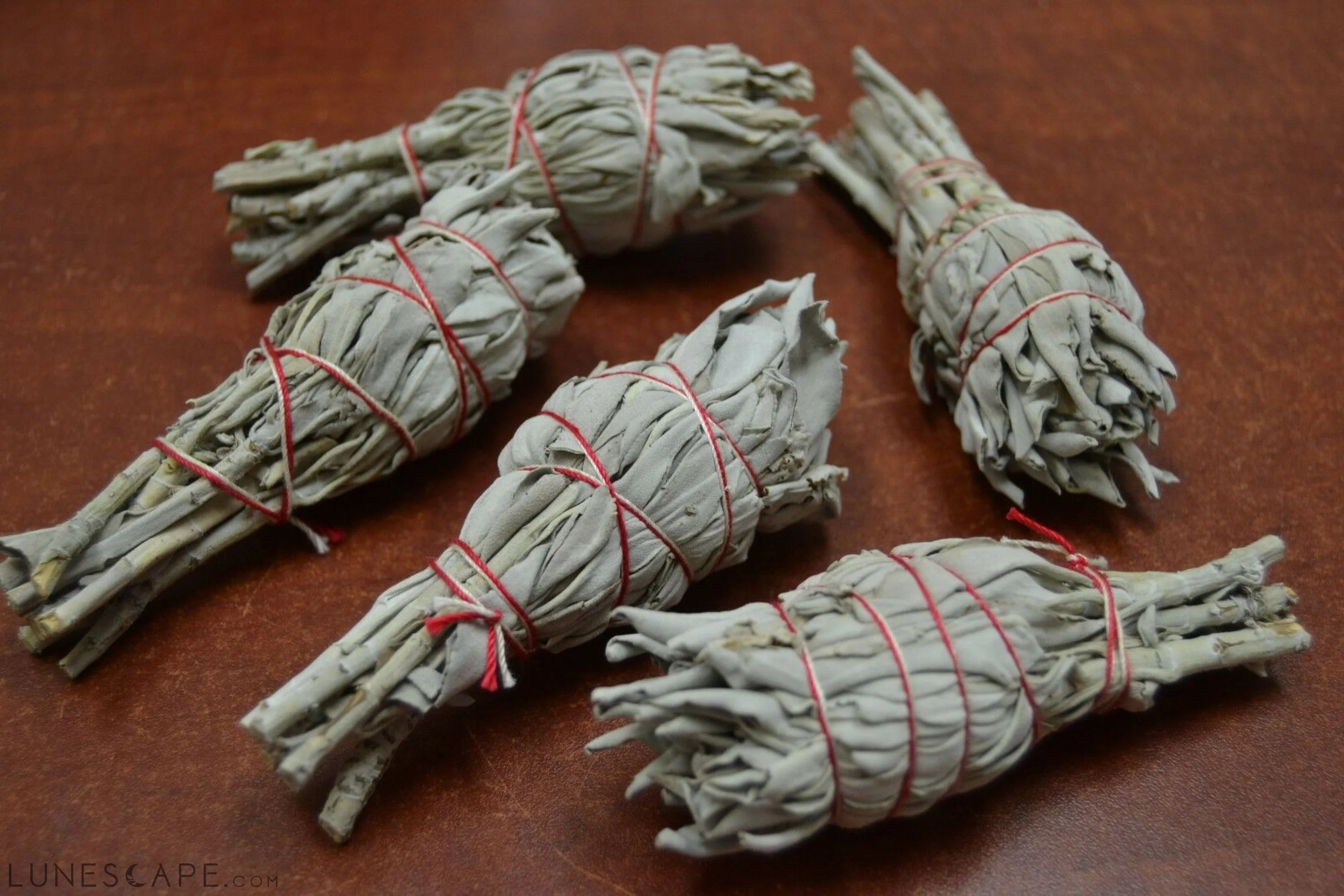 5 Pcs California Mini White Sage Bundle Smudge 3" LUNESCAPE