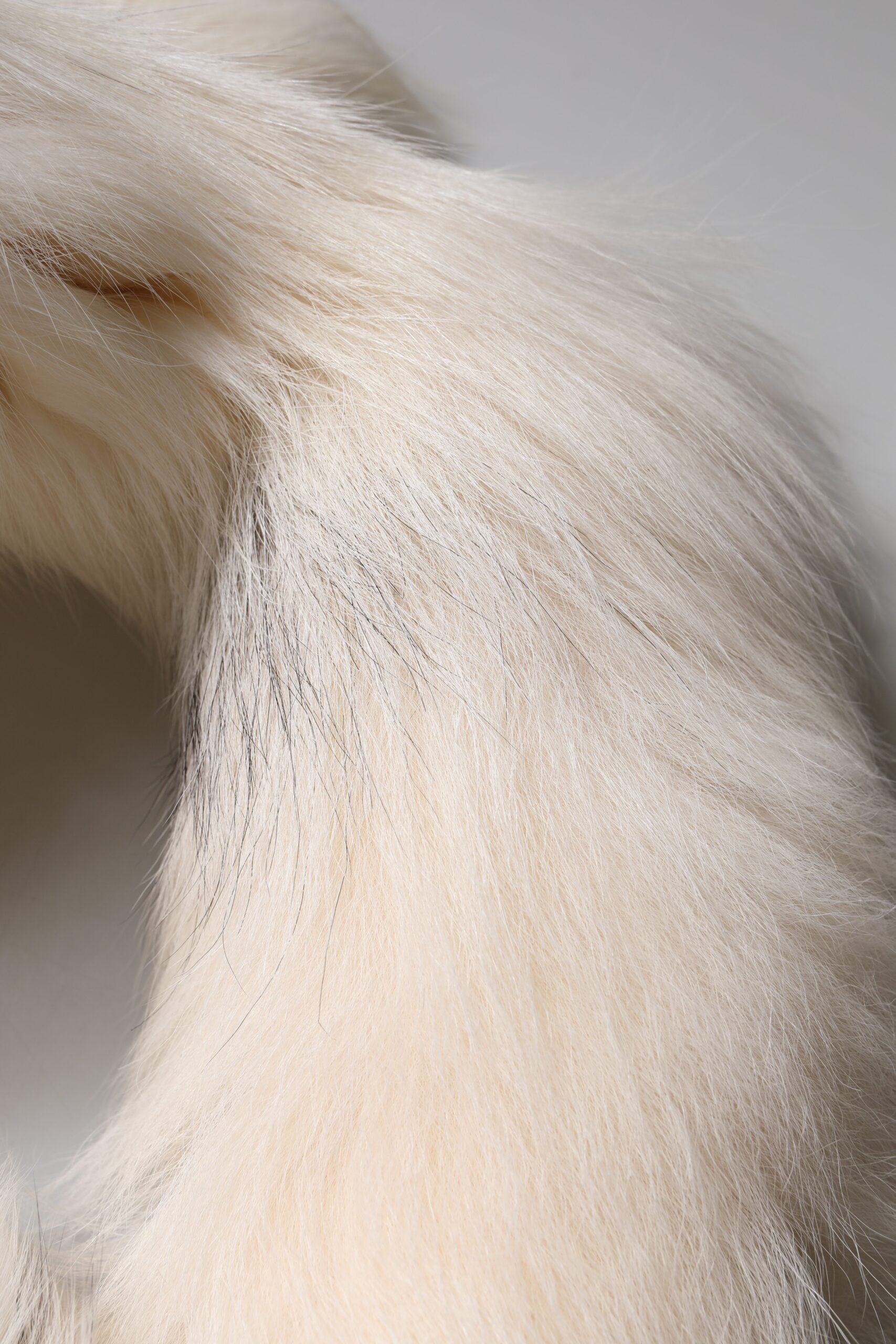 Dolce & Gabbana White Fox Fur Neck Wrap Warmer Winter Scarf LUNESCAPE