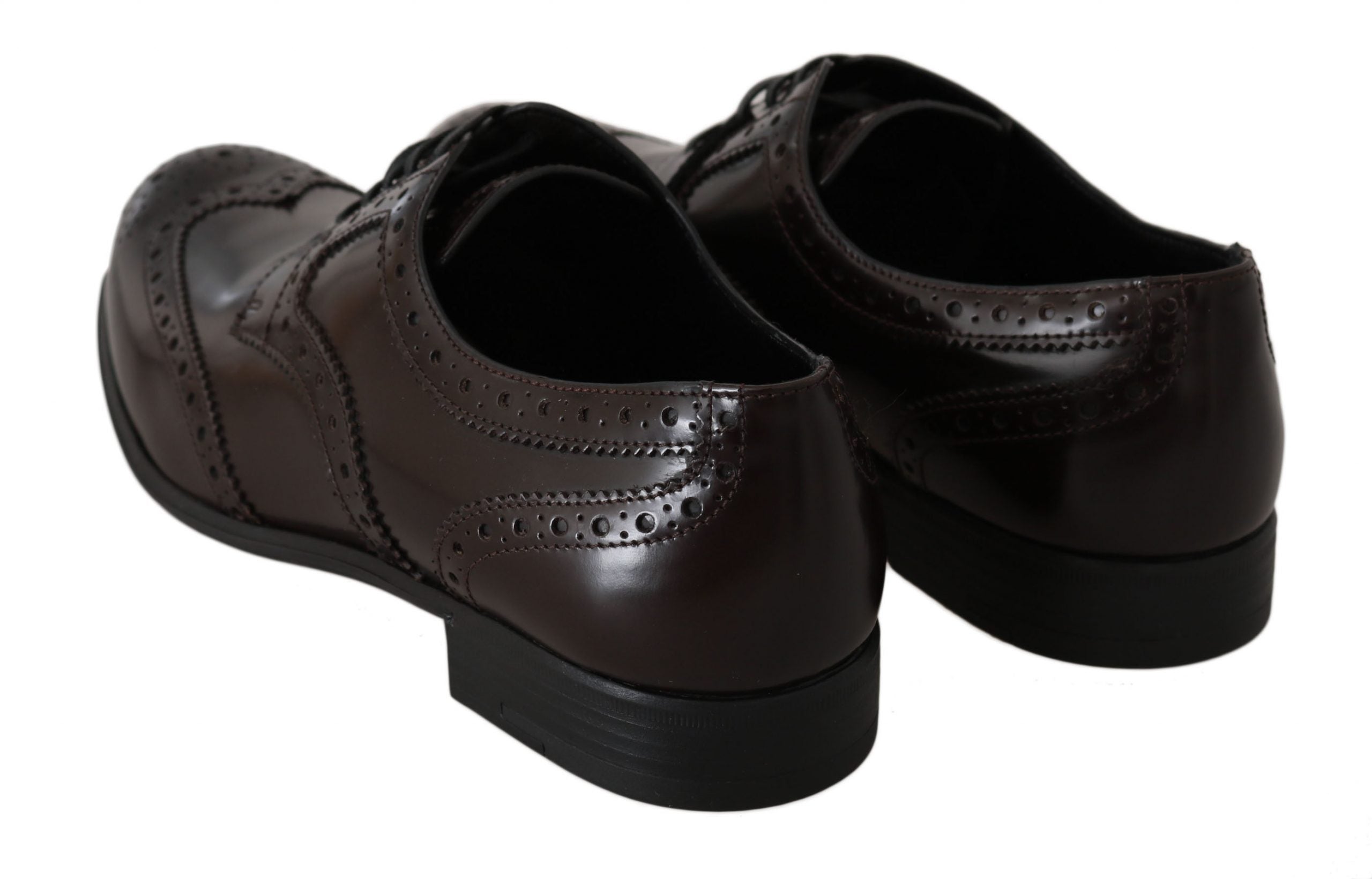 Dolce & Gabbana Brown Leather Broques Oxford Wingtip Shoes LUNESCAPE