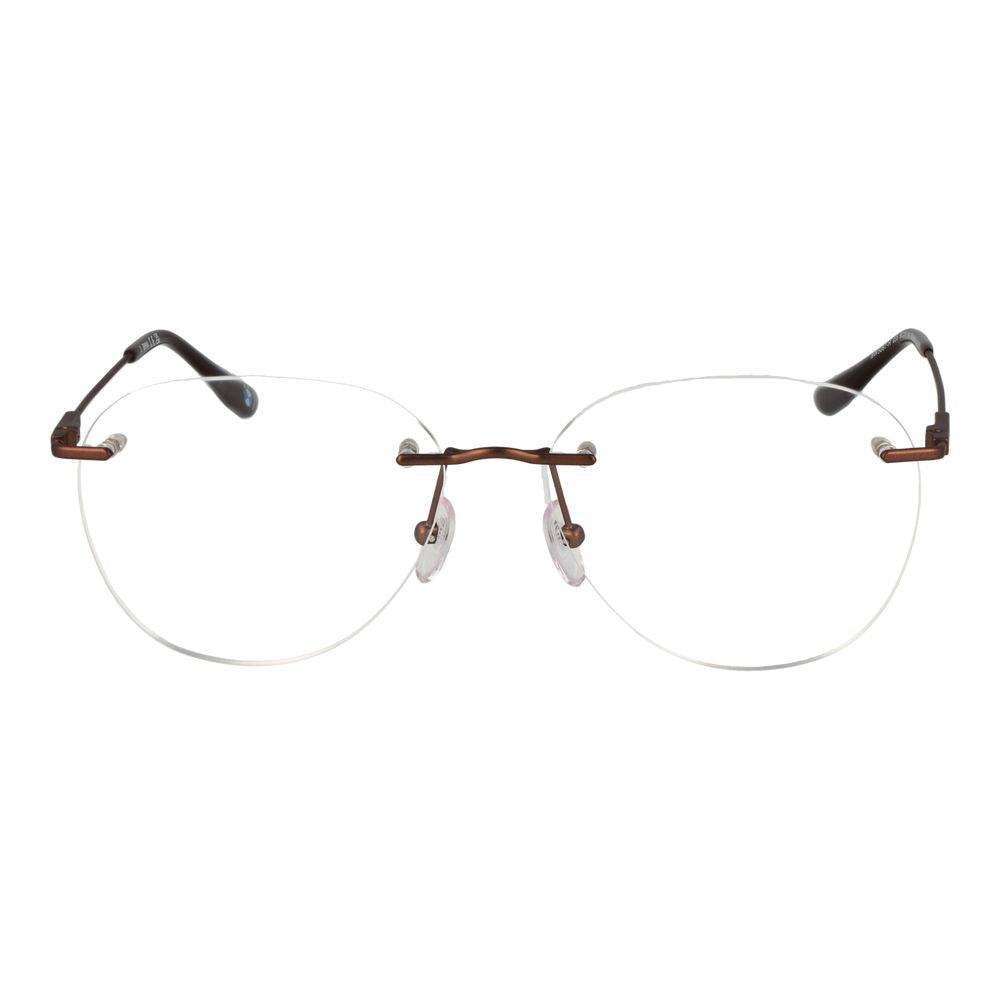 BMW Bronze Titanium Glasses (Frames)