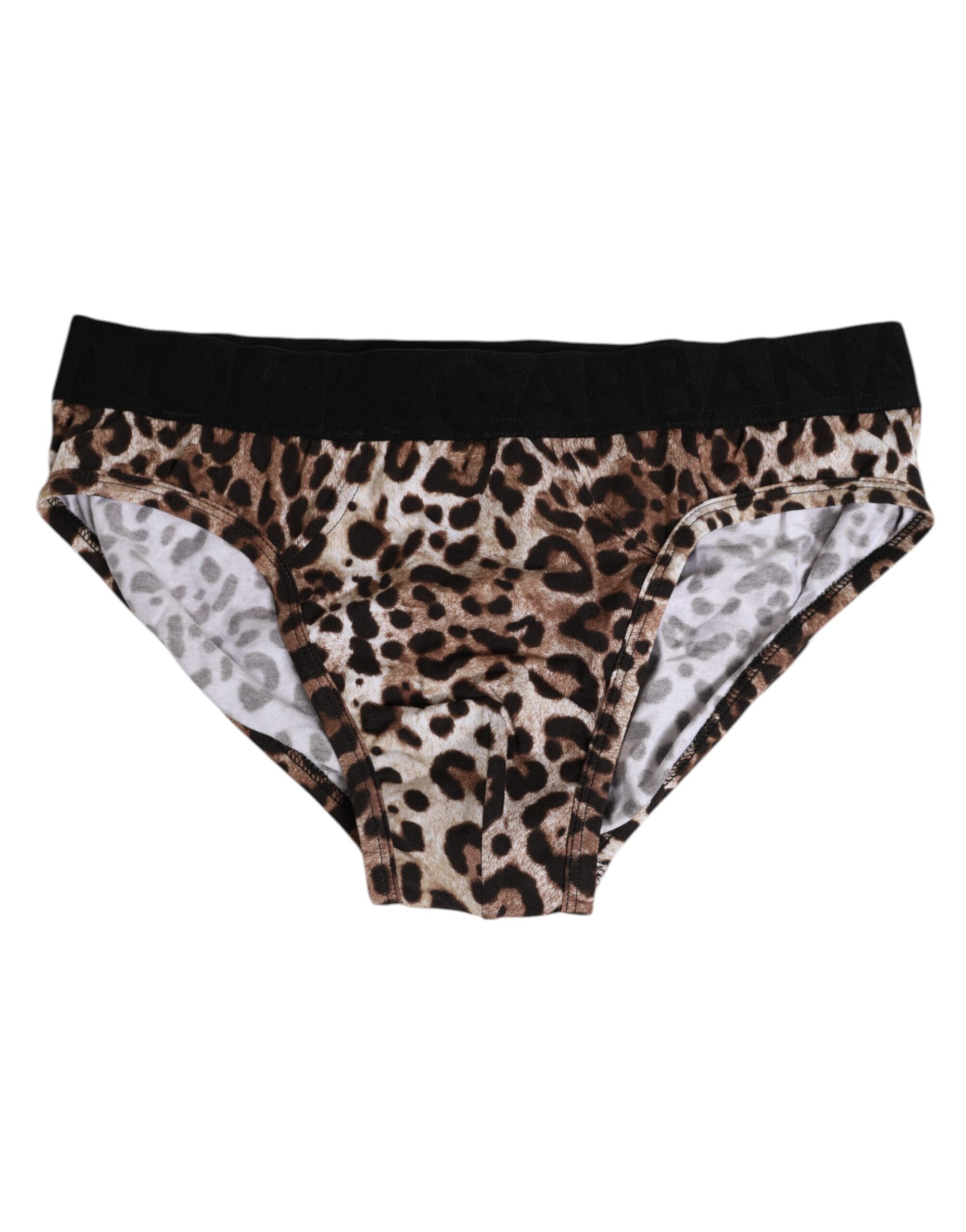 Dolce & Gabbana Brown Cotton Leopard Logo Midi Brief Underwear LUNESCAPE