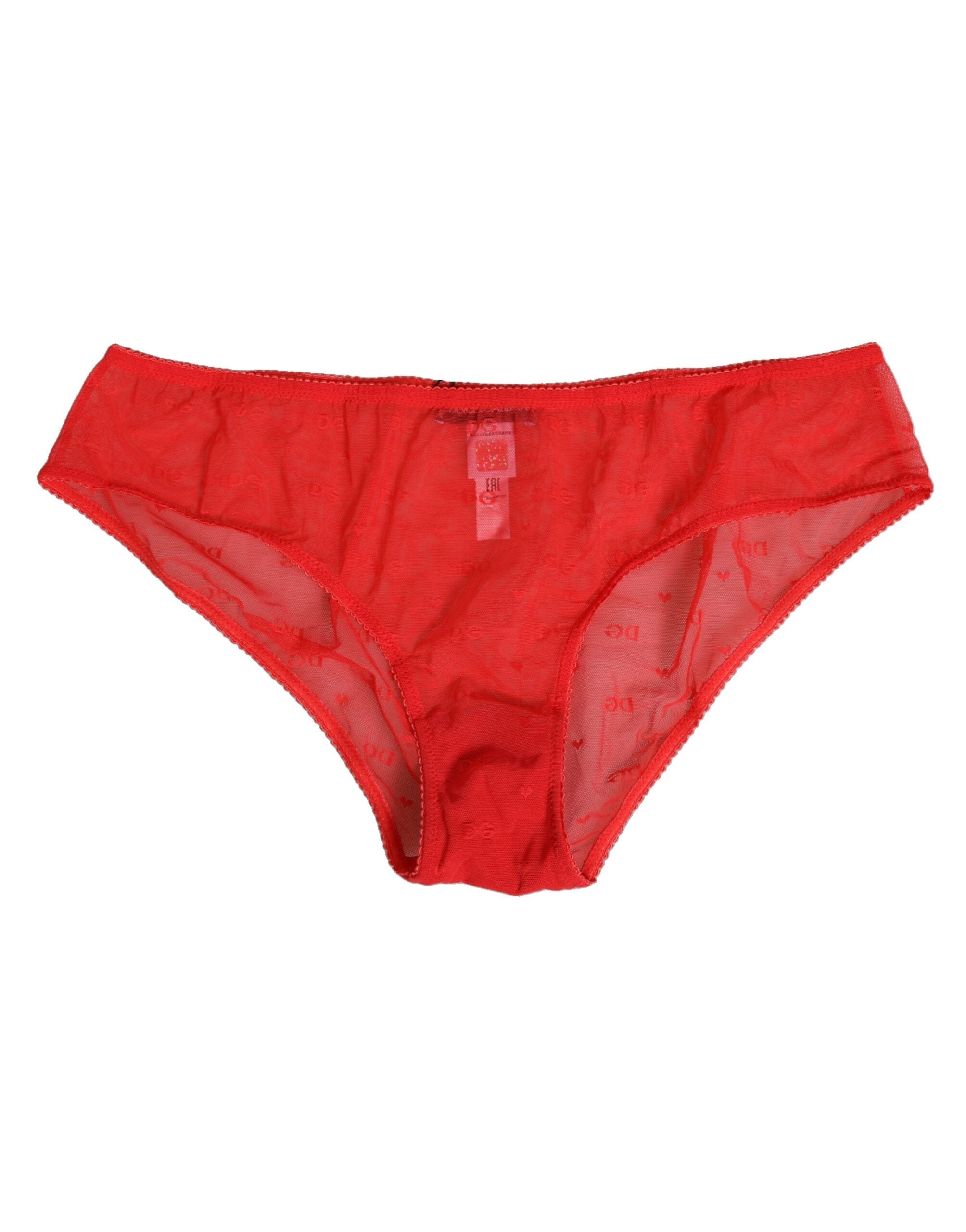 Dolce & Gabbana Red Nylon Sheer Mesh Lace Brief Panty Underwear LUNESCAPE
