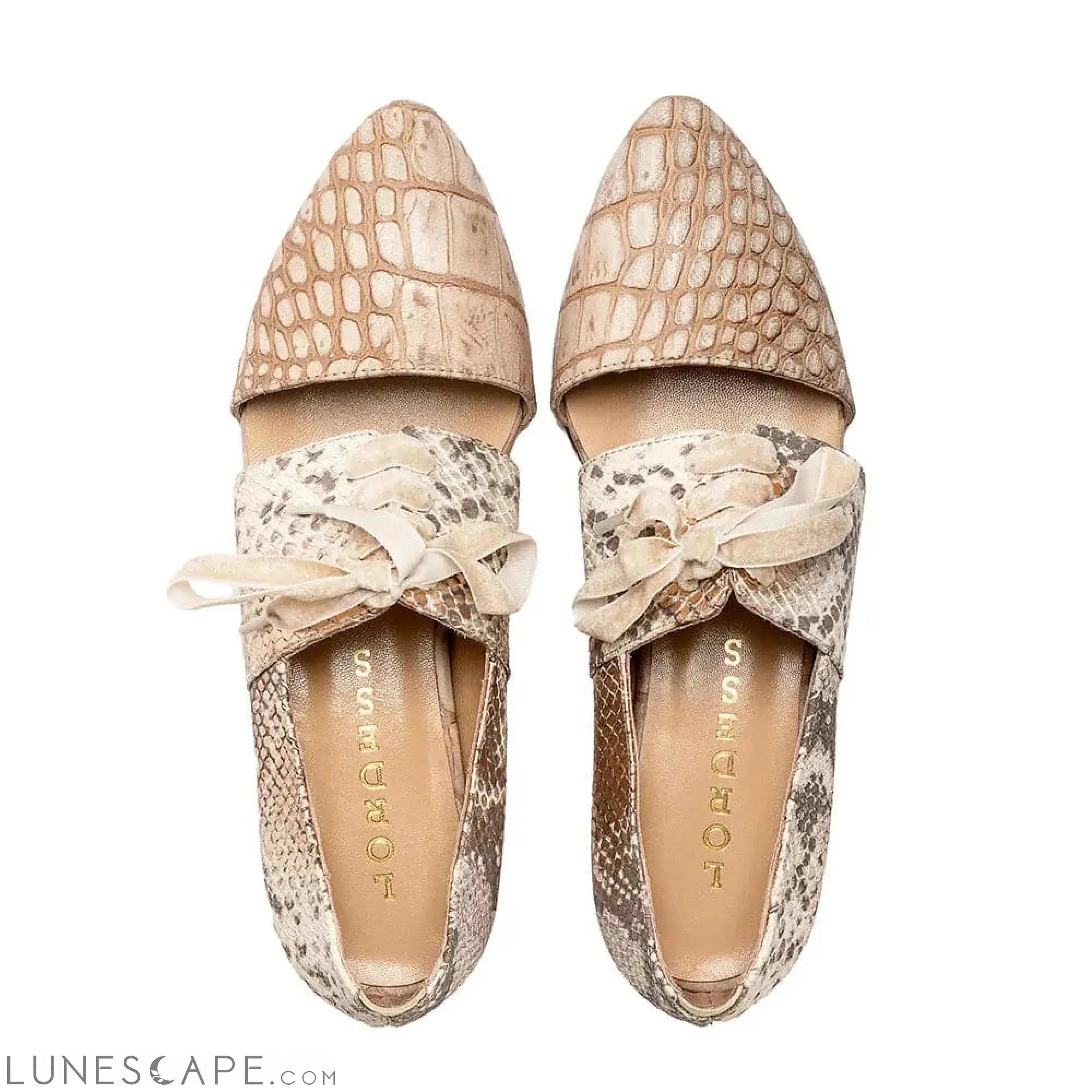 Adira Oxford by Lordess LUNESCAPE