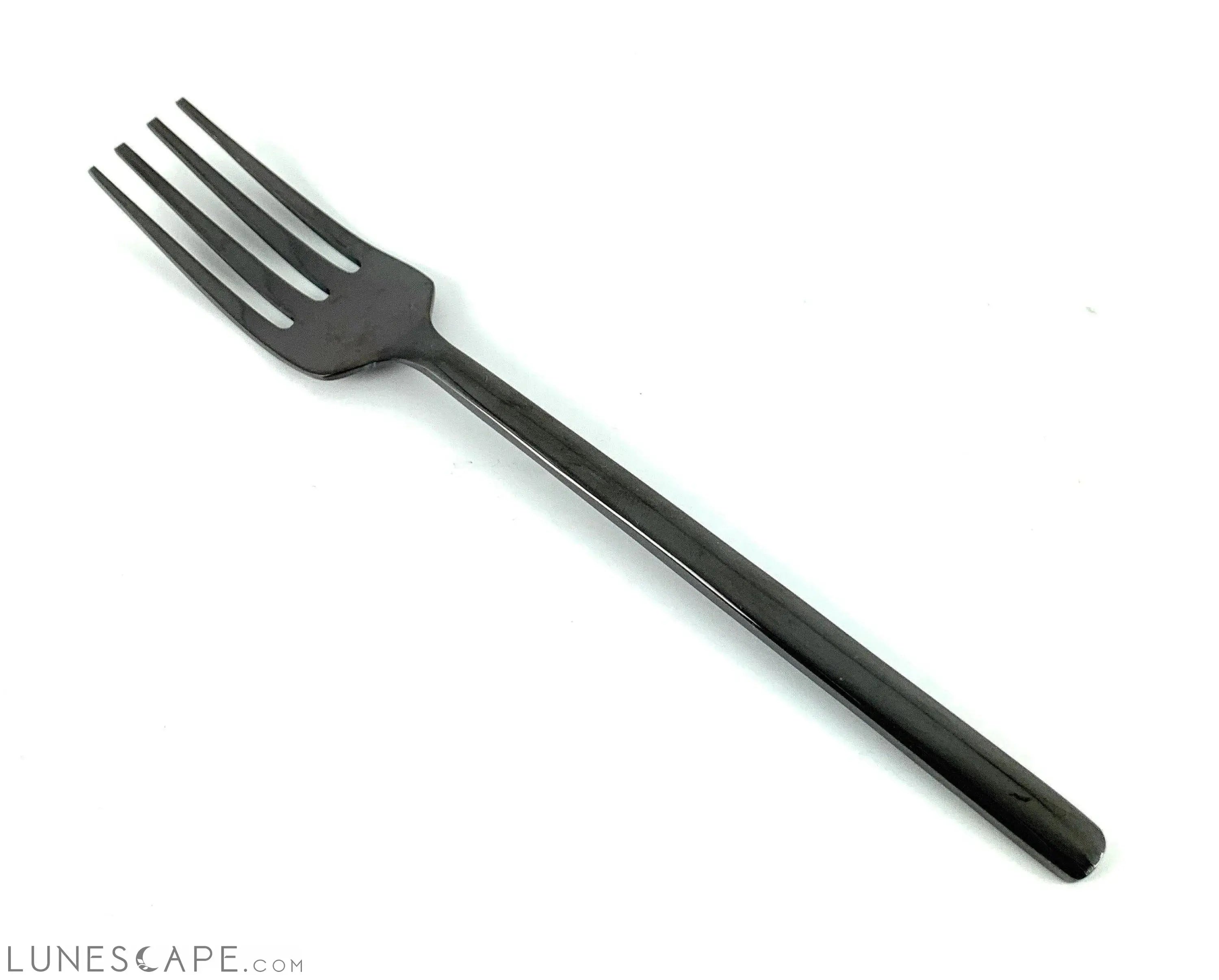 Black Salad Fork Flatware - 6 Piece Set LUNESCAPE