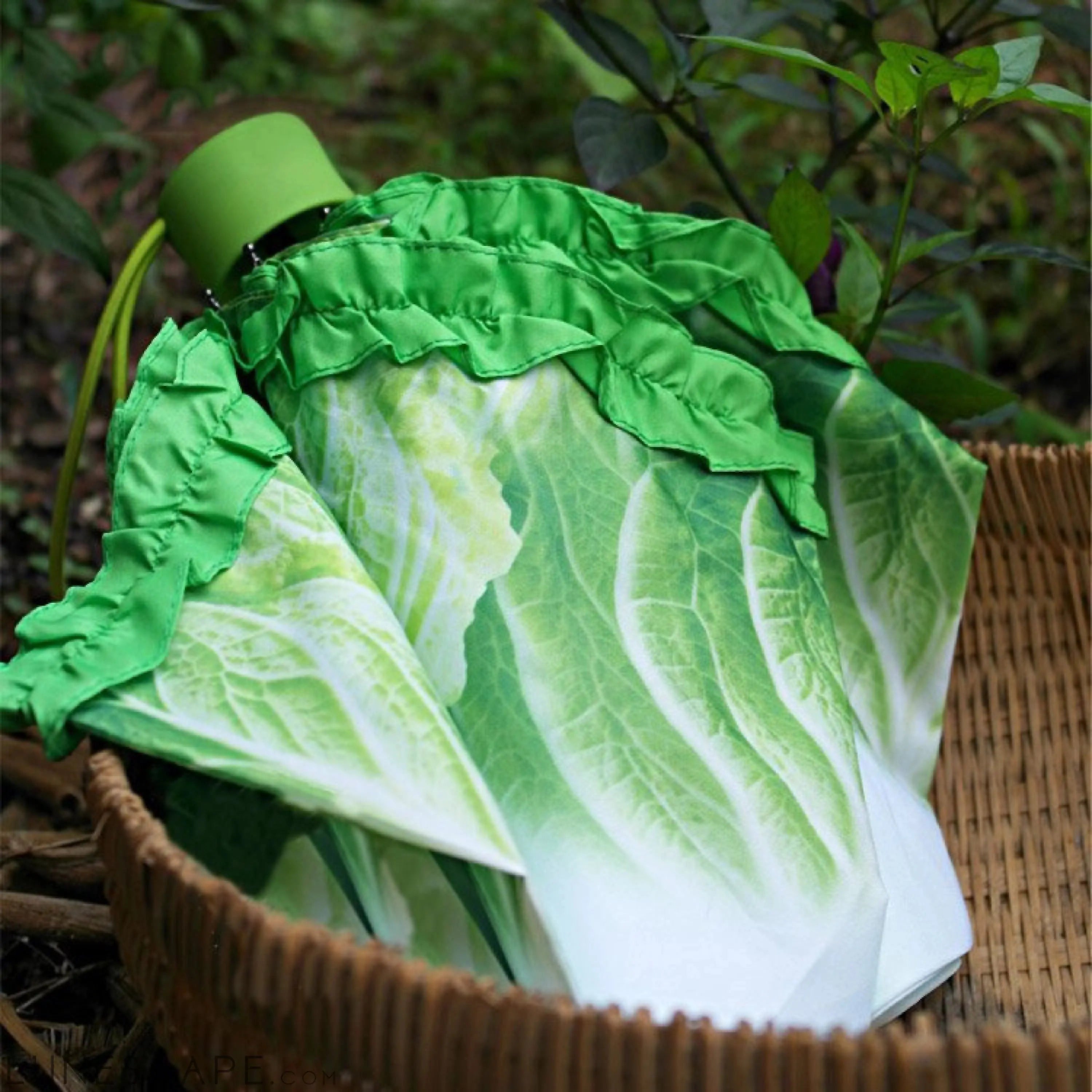Cabbage Umbrella LUNESCAPE