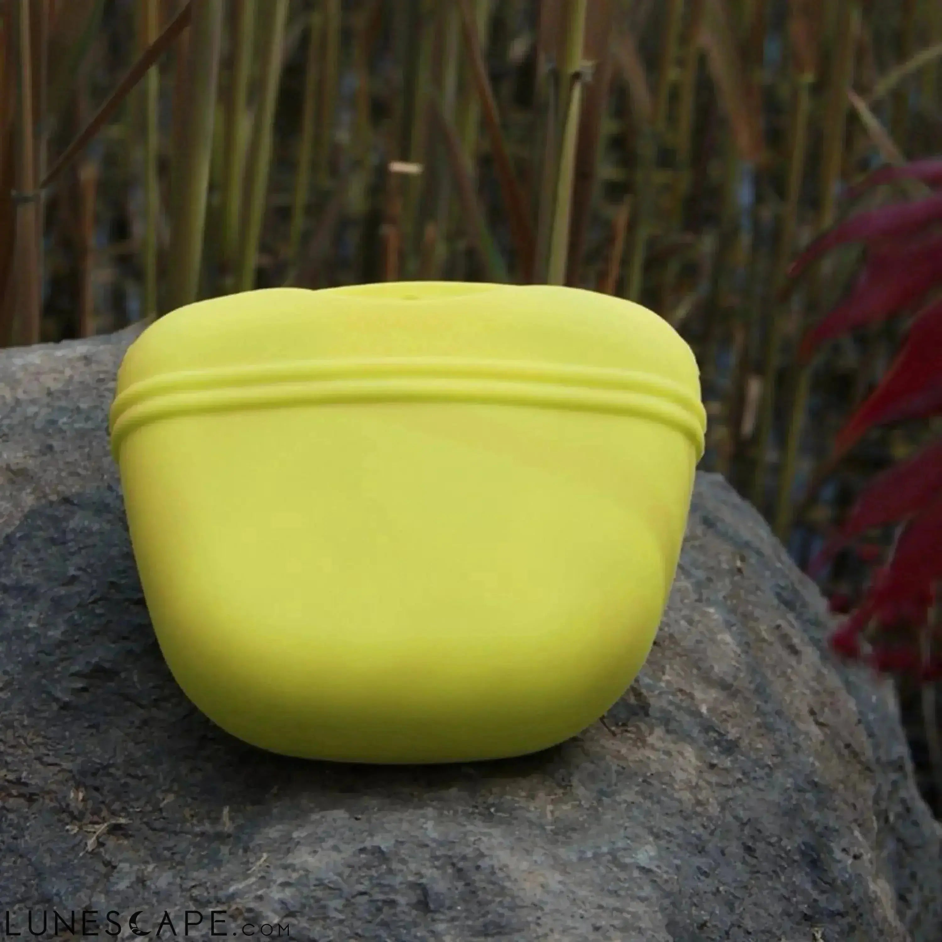 Dog Training Treat Pouch LUNESCAPE