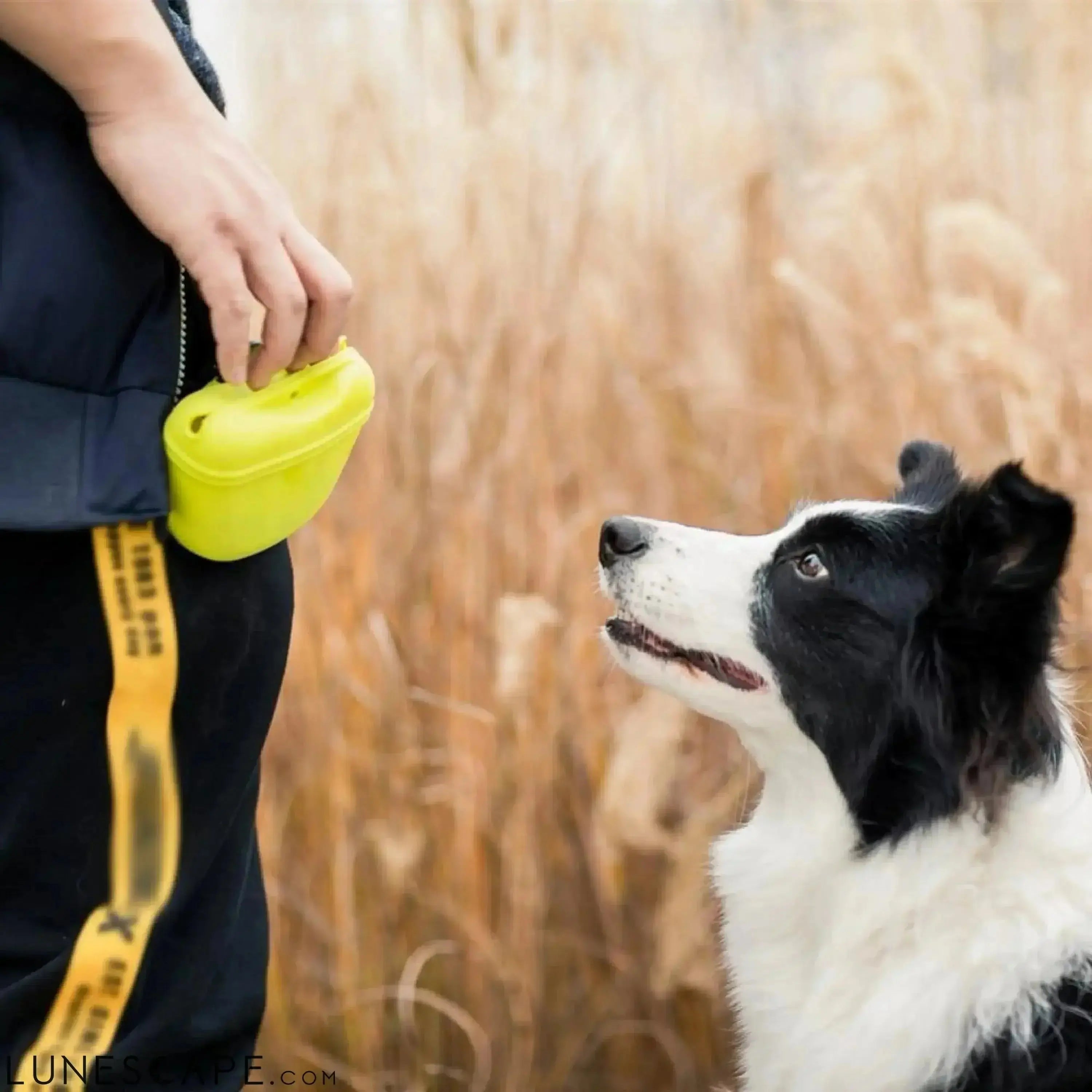 Dog Training Treat Pouch LUNESCAPE