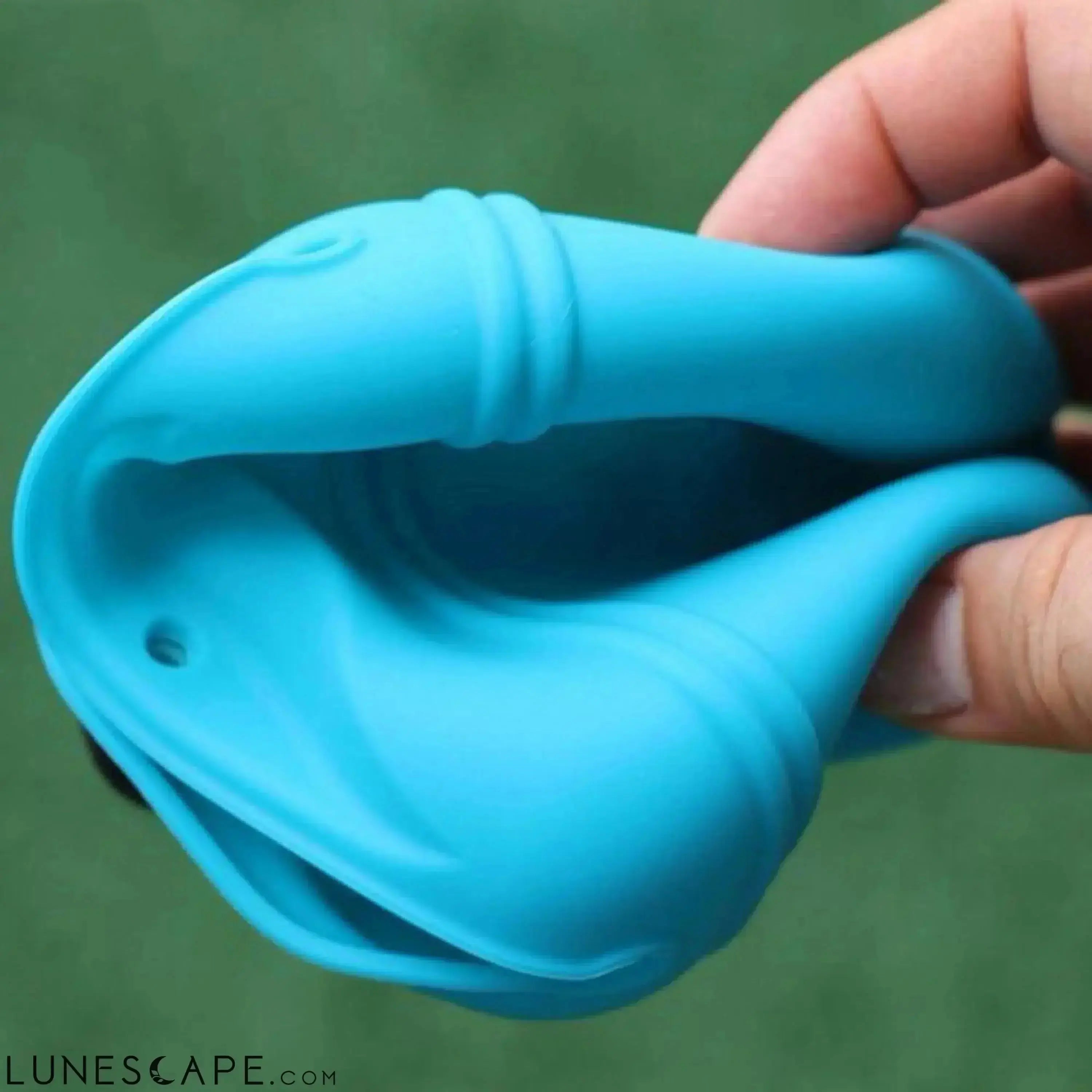 Dog Training Treat Pouch LUNESCAPE