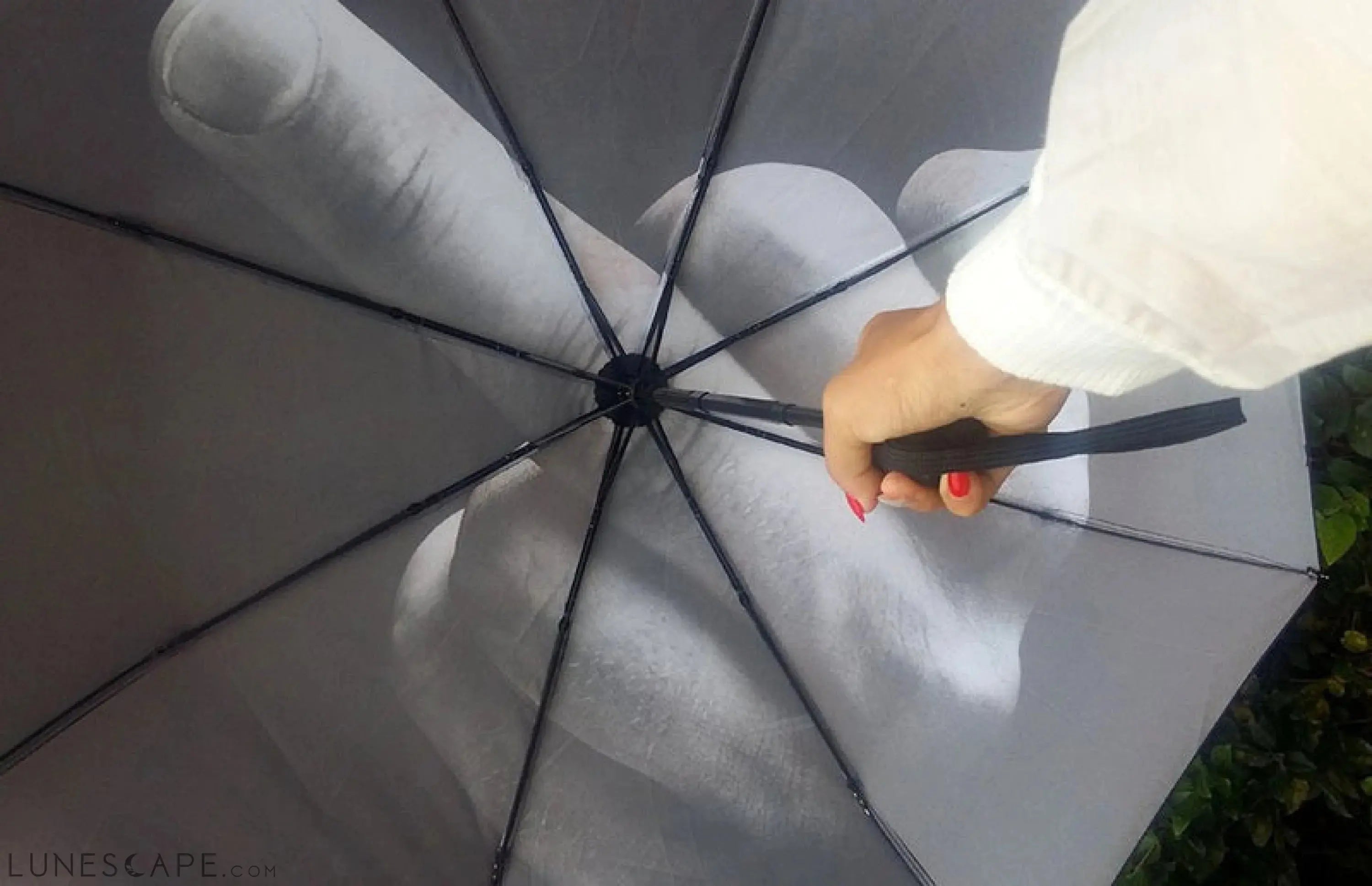 F*ck The Rain Umbrella LUNESCAPE