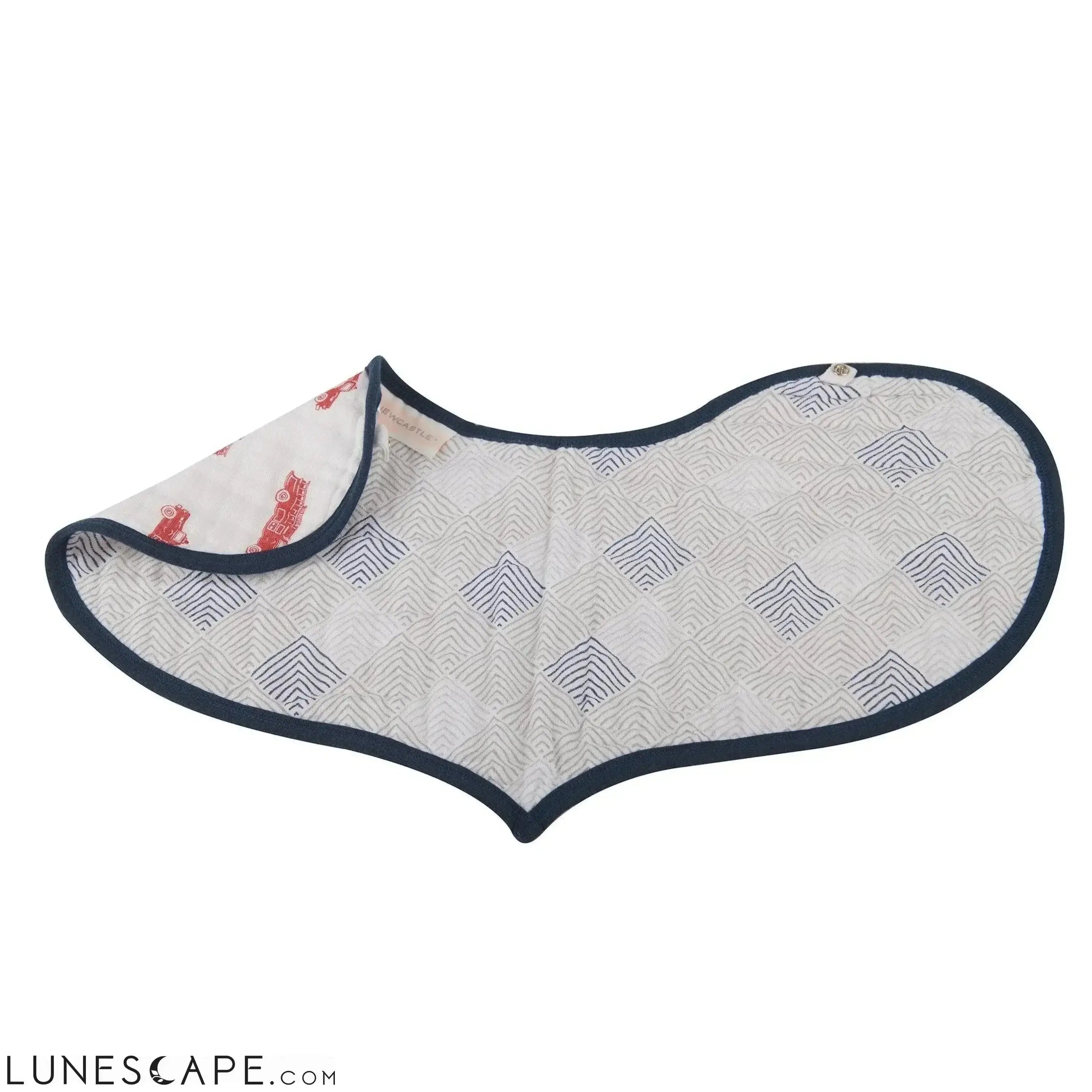 Fire Truck and Dalmatian Heart Bibs - Set of 2 LUNESCAPE