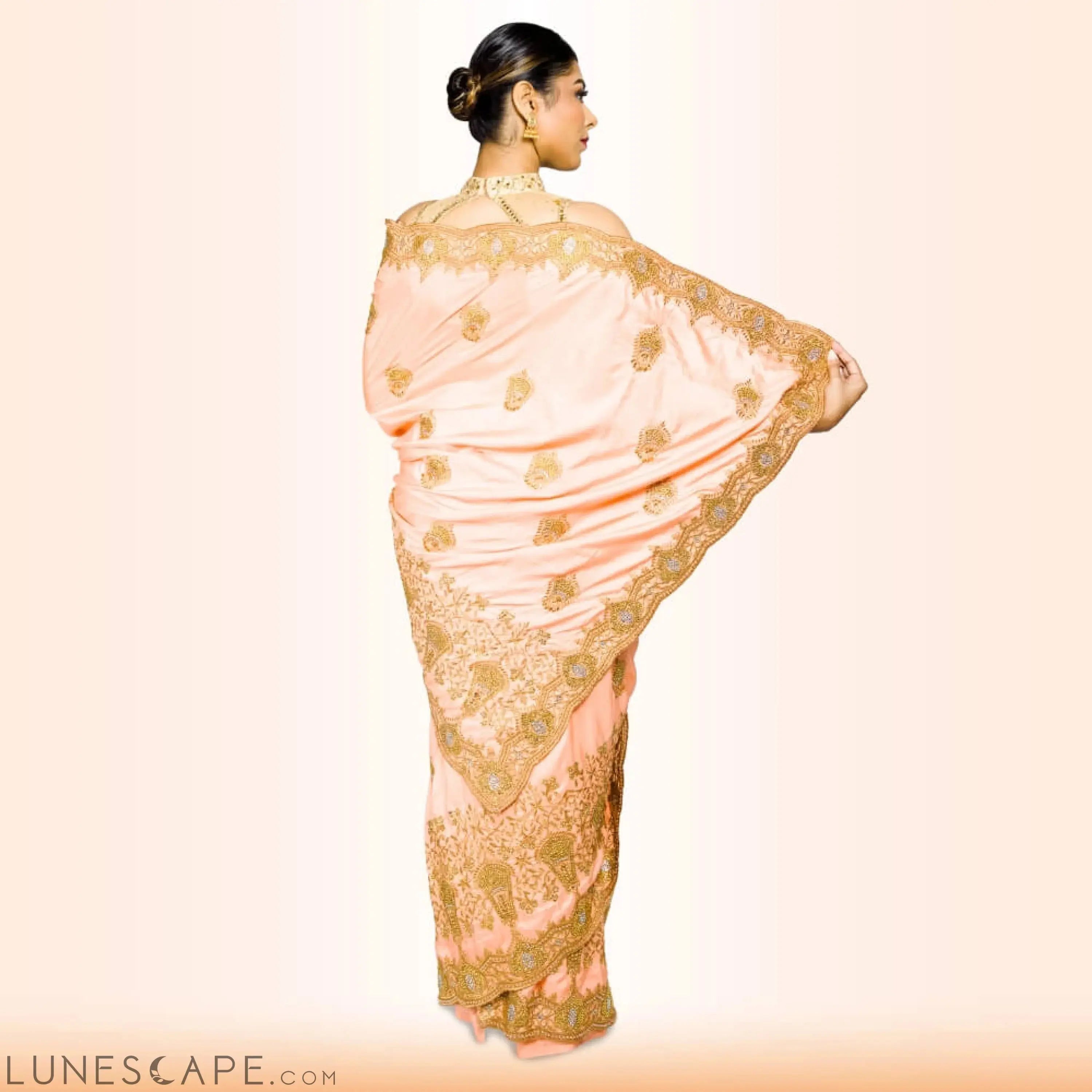 Heavy Embroidered Saree in Blush LUNESCAPE