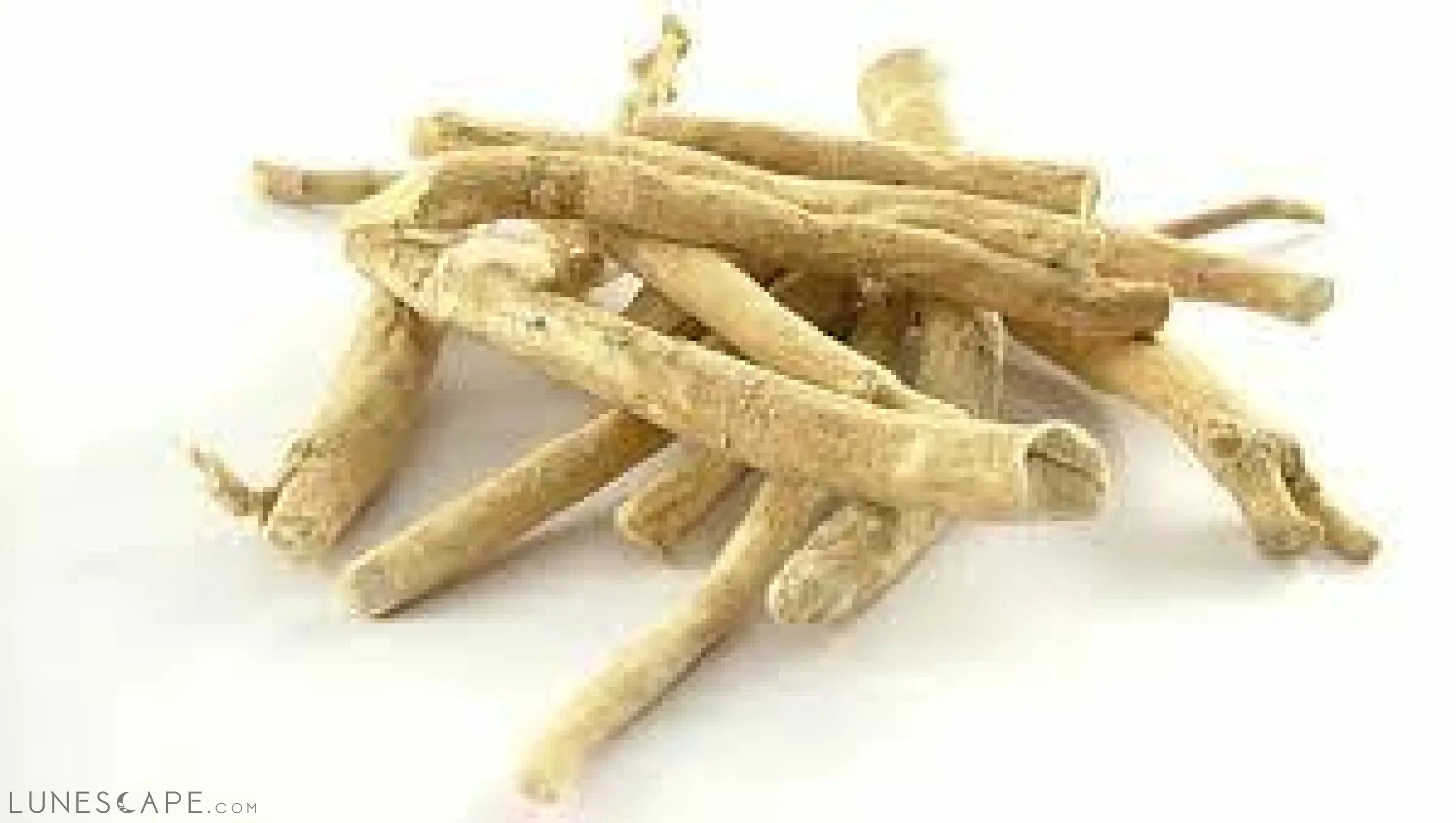 Organic Ashwagandha Root Whole LUNESCAPE