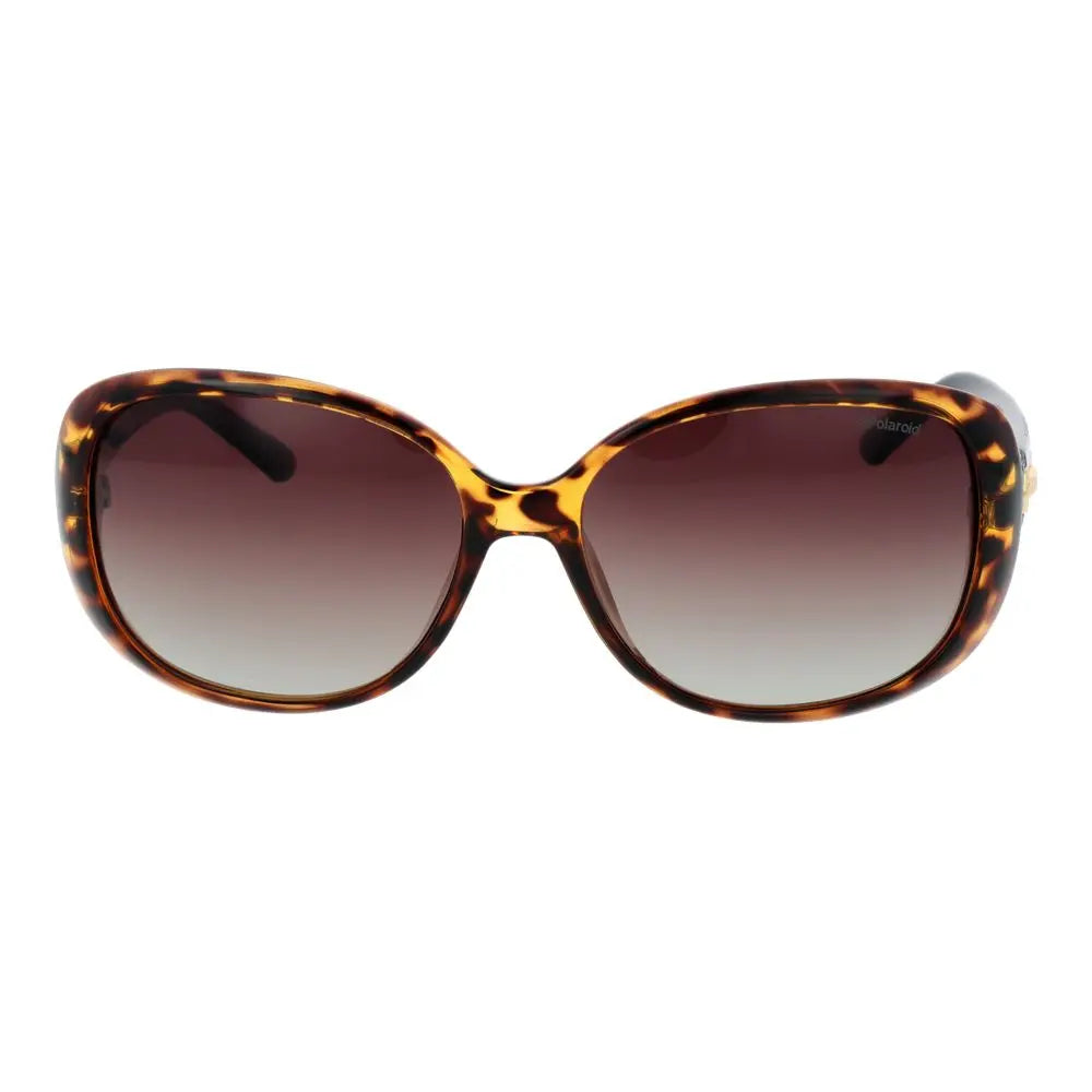 Polaroid Brown Plastic Sunglasses LUNESCAPE