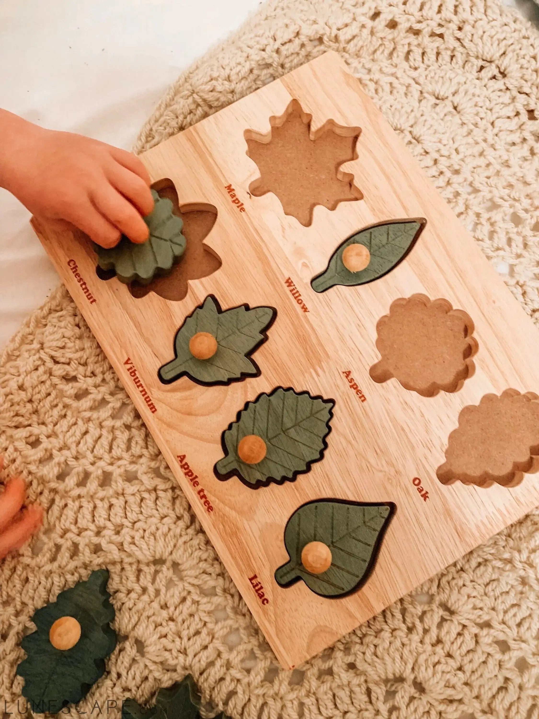 QToys Australia Leaf puzzle LUNESCAPE