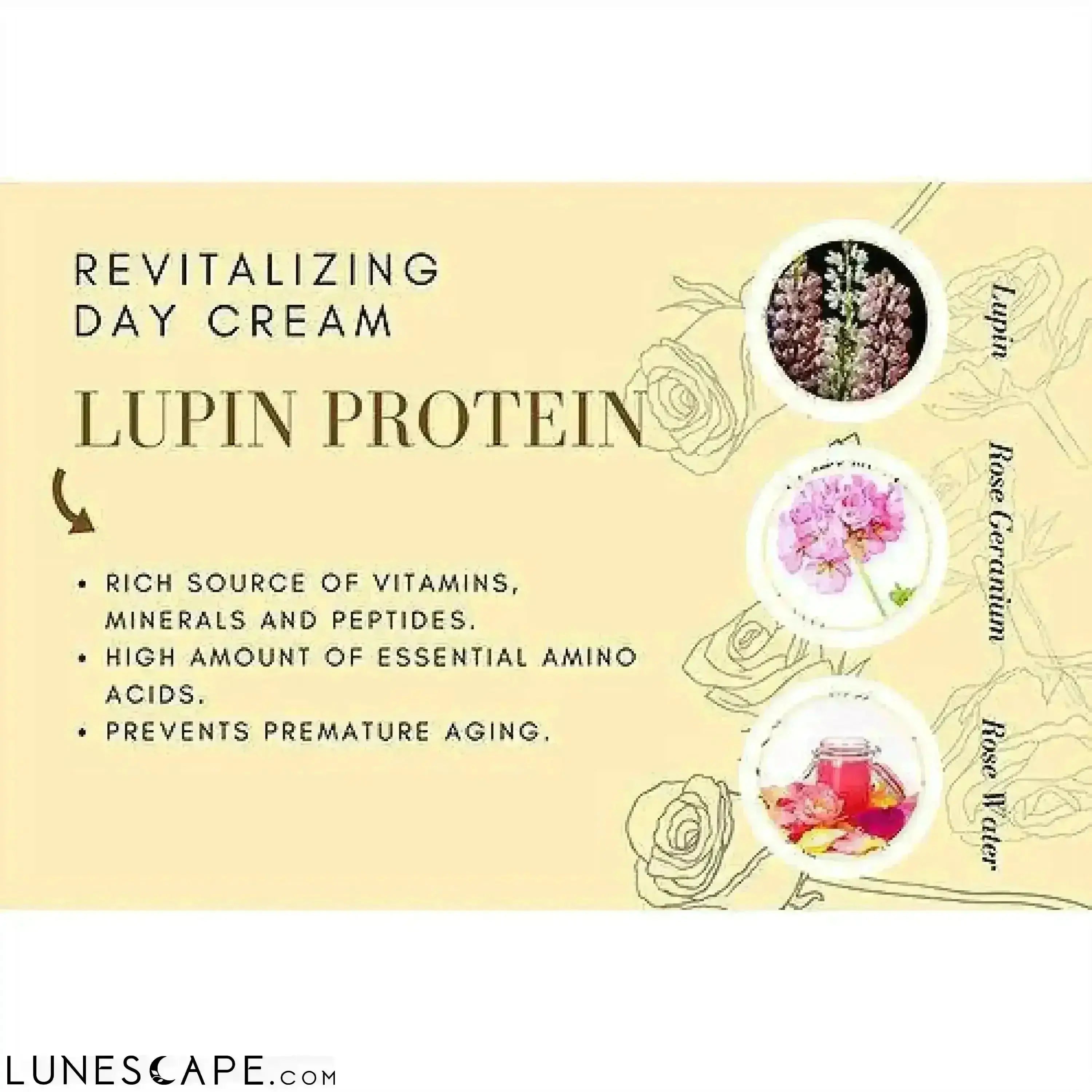 Revitalizing Day Cream (Rose & Geranium) Vegan & Organic - Aster Skincare LUNESCAPE