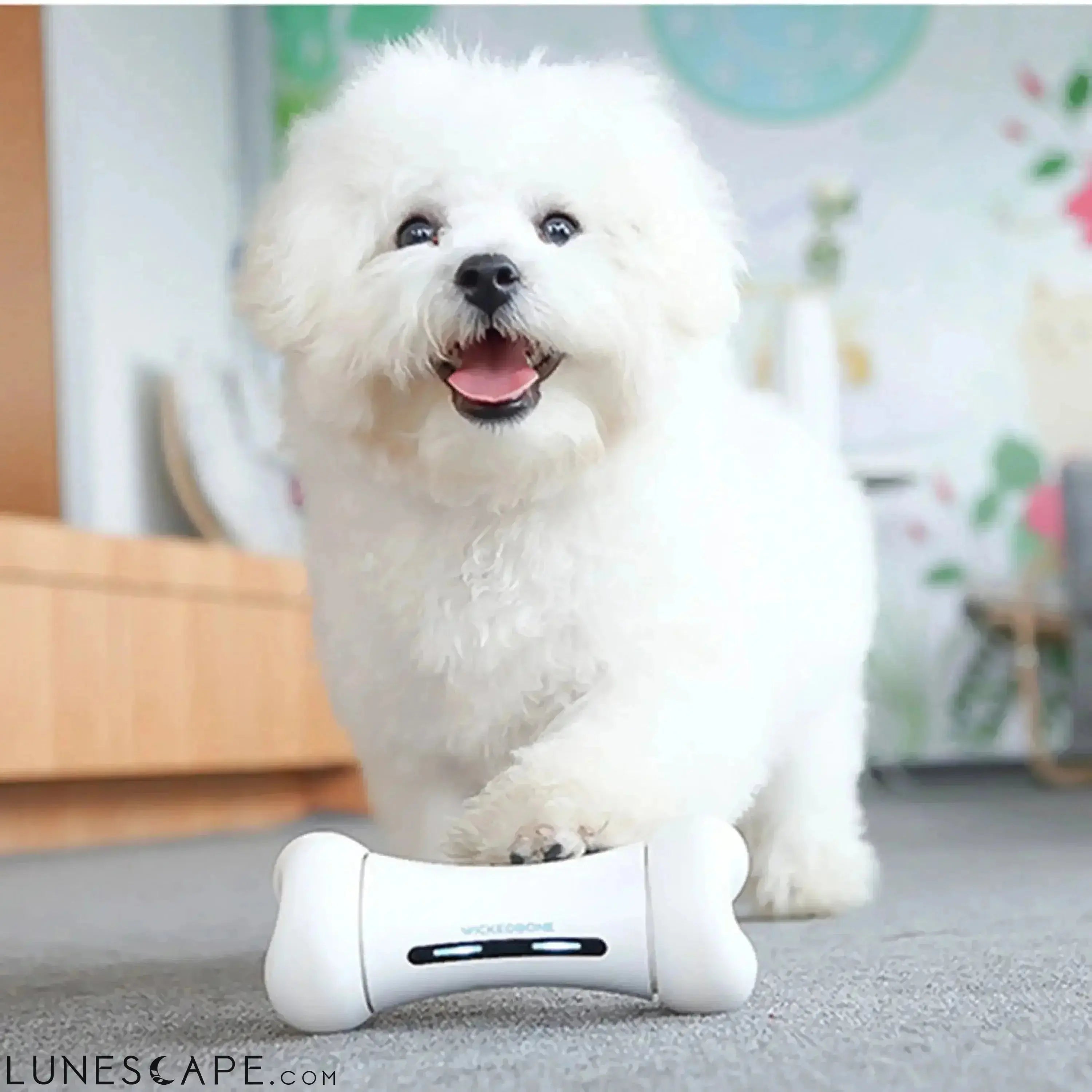 Smart Automatic Bone Dog Toy LUNESCAPE