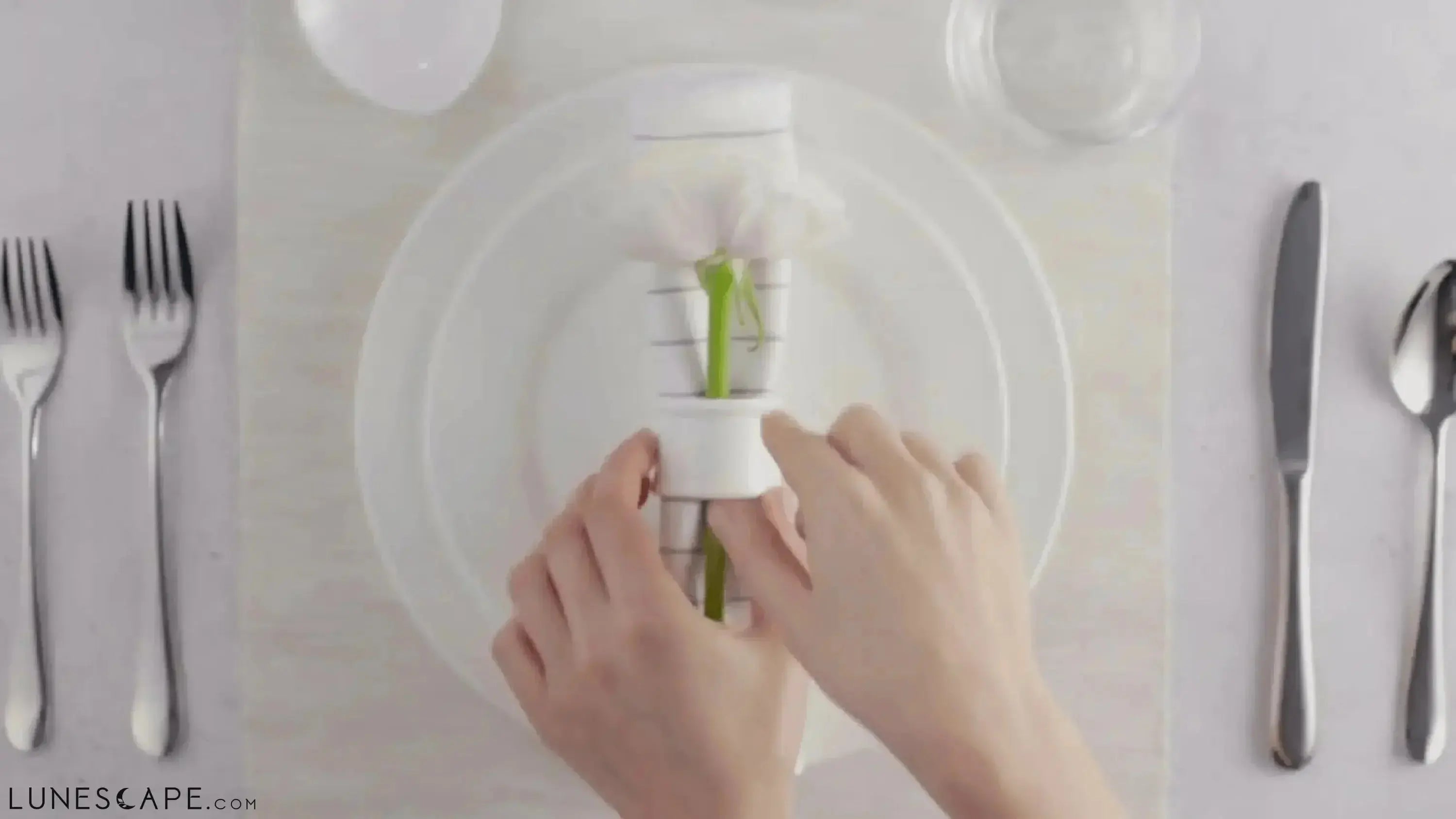 Stainless Steel 8-inch Dinner Spoon - 6 Piece Set LUNESCAPE