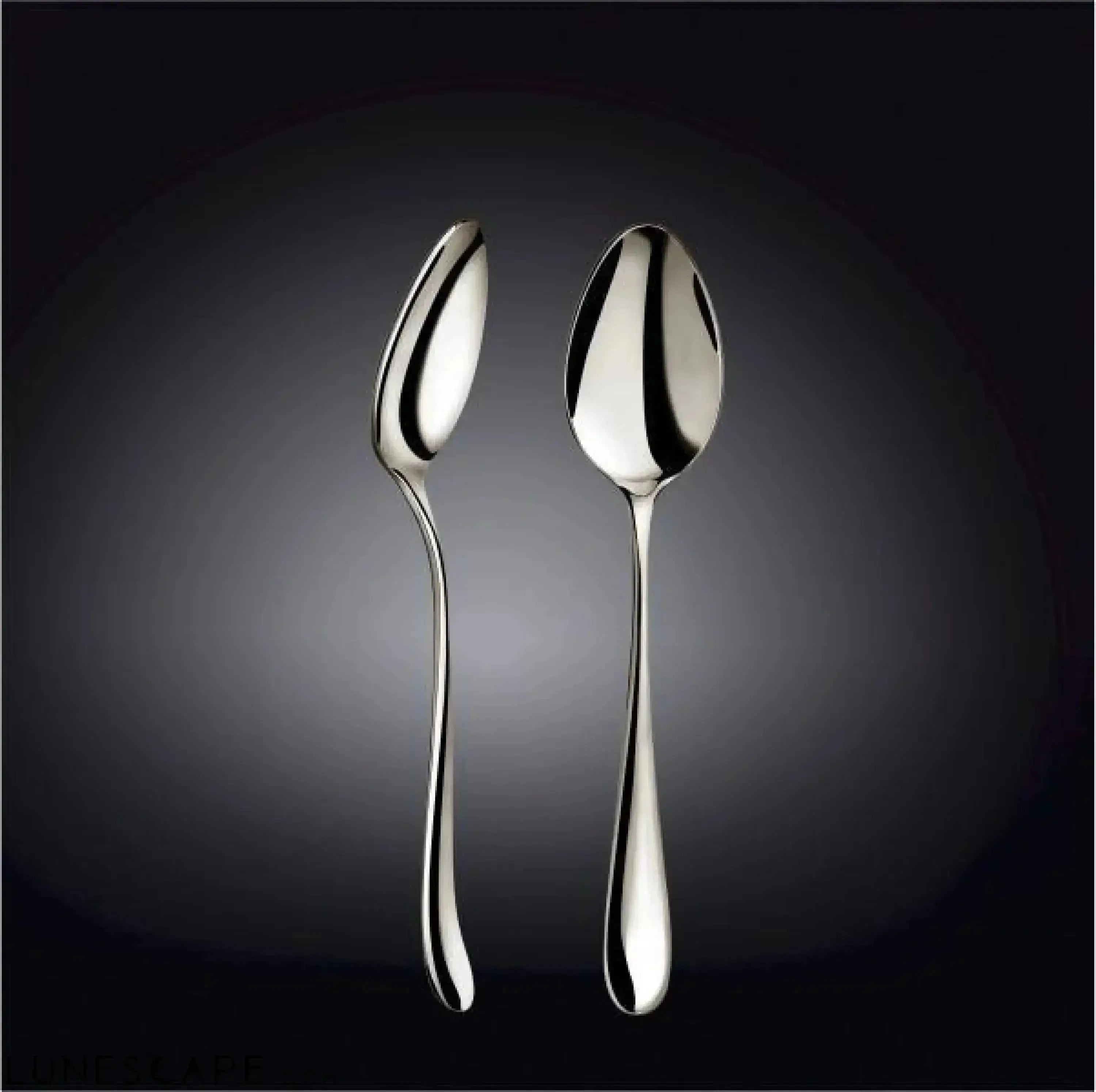 Stainless Steel Dinner Spoon - 6 Pc. Set LUNESCAPE