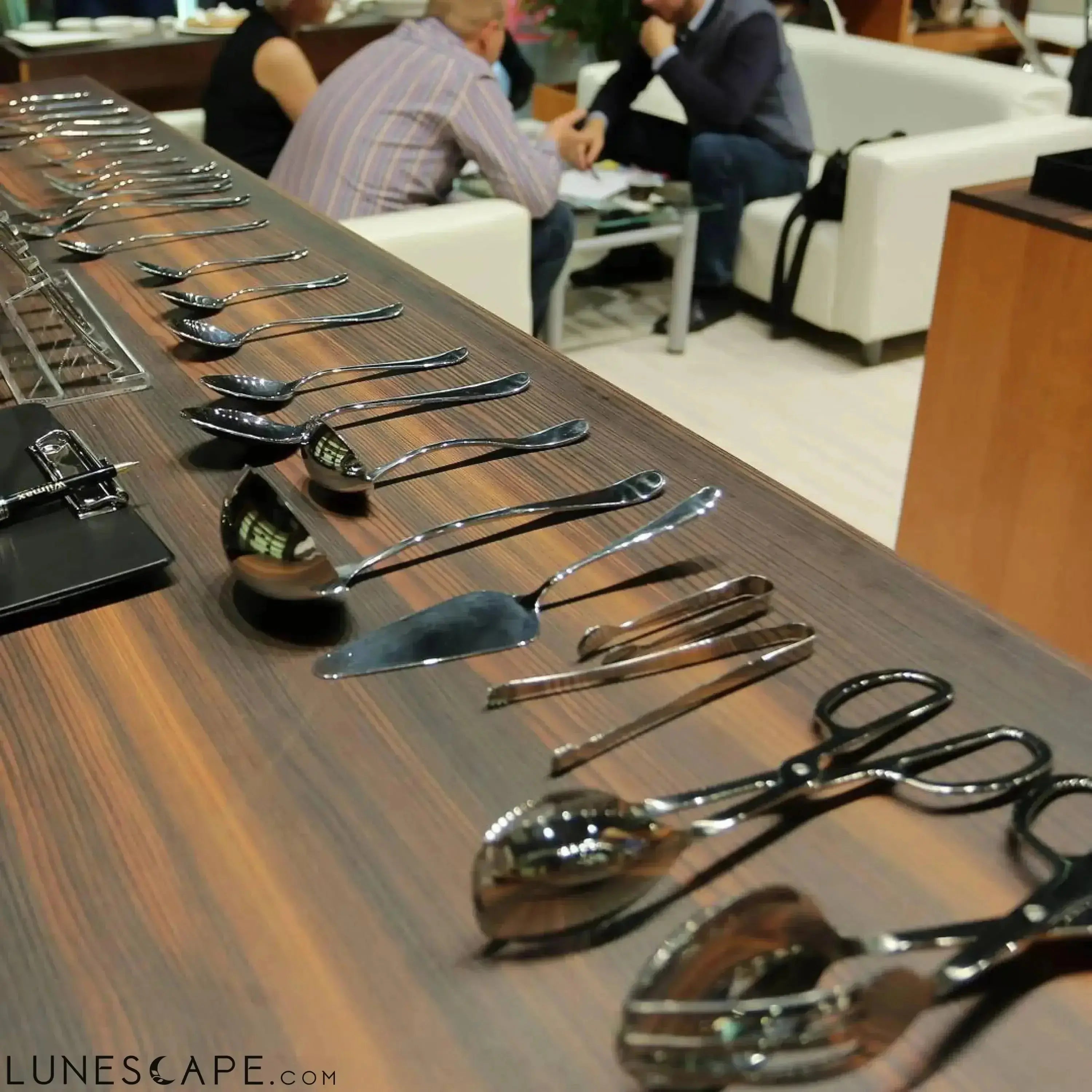 Stainless Steel Ice Cream Spoon LUNESCAPE