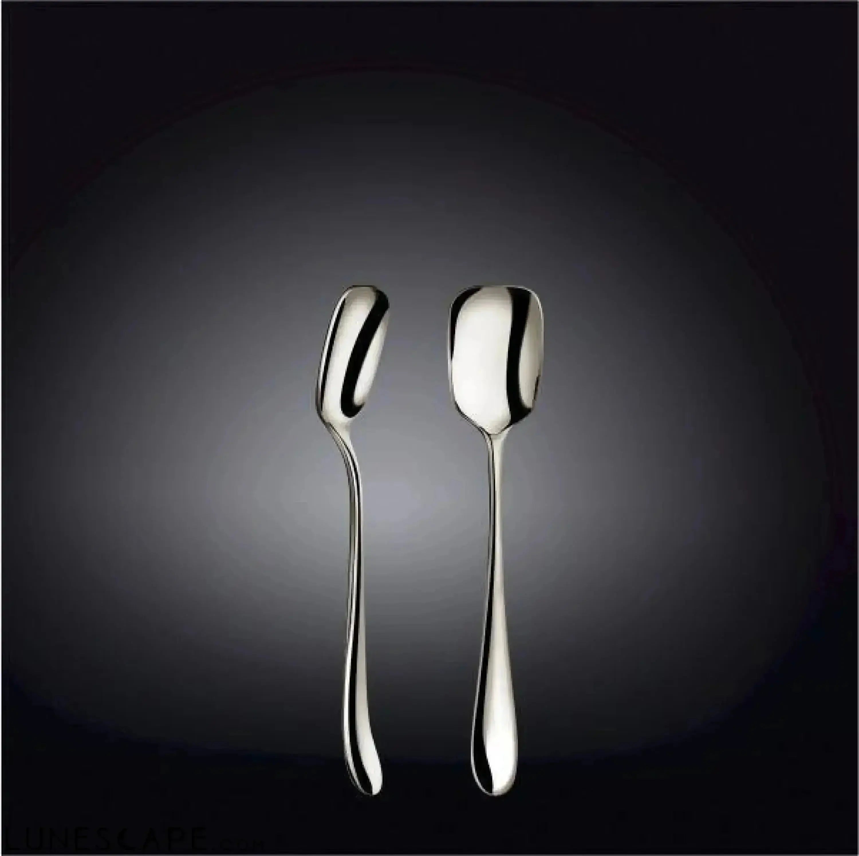 Stainless Steel Ice Cream Spoon - Set of 6 LUNESCAPE