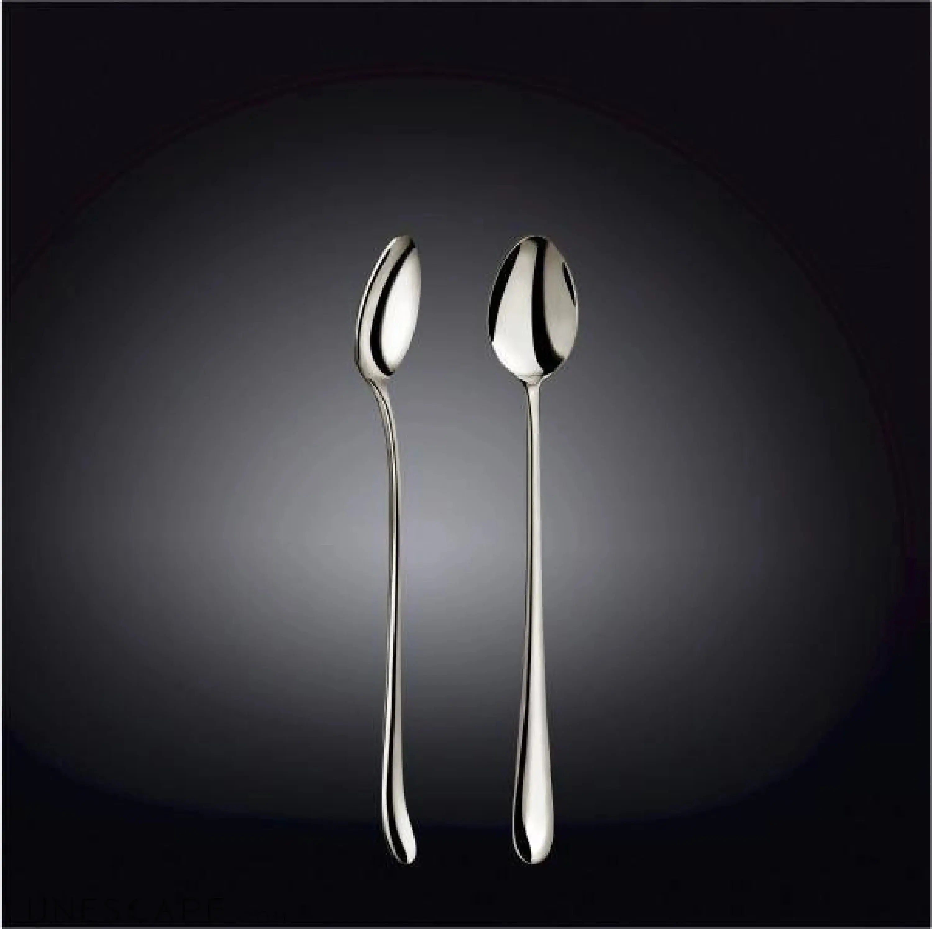 Stainless Steel Long Tea Spoon LUNESCAPE