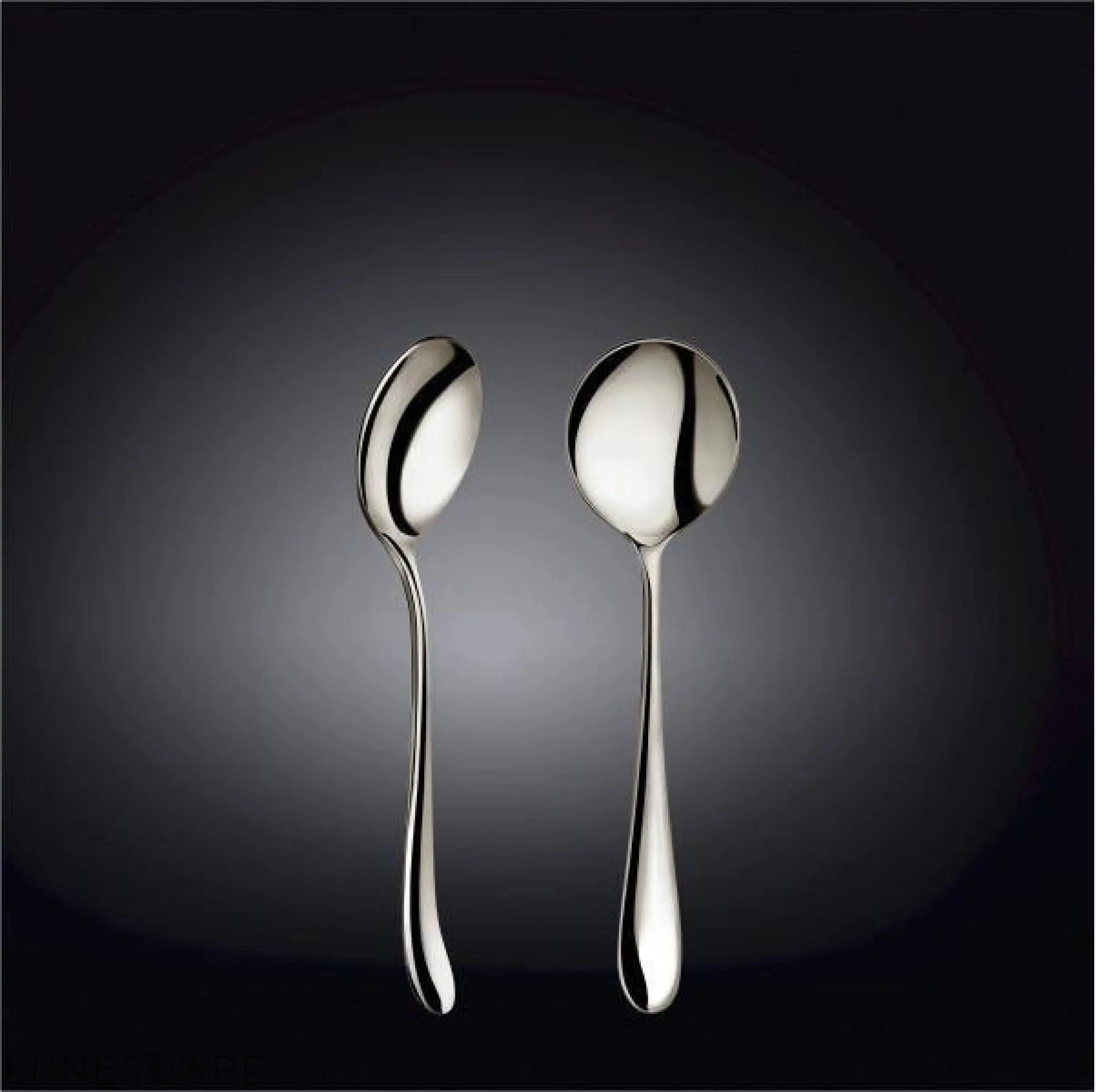 Stainless Steel Soup Spoon LUNESCAPE