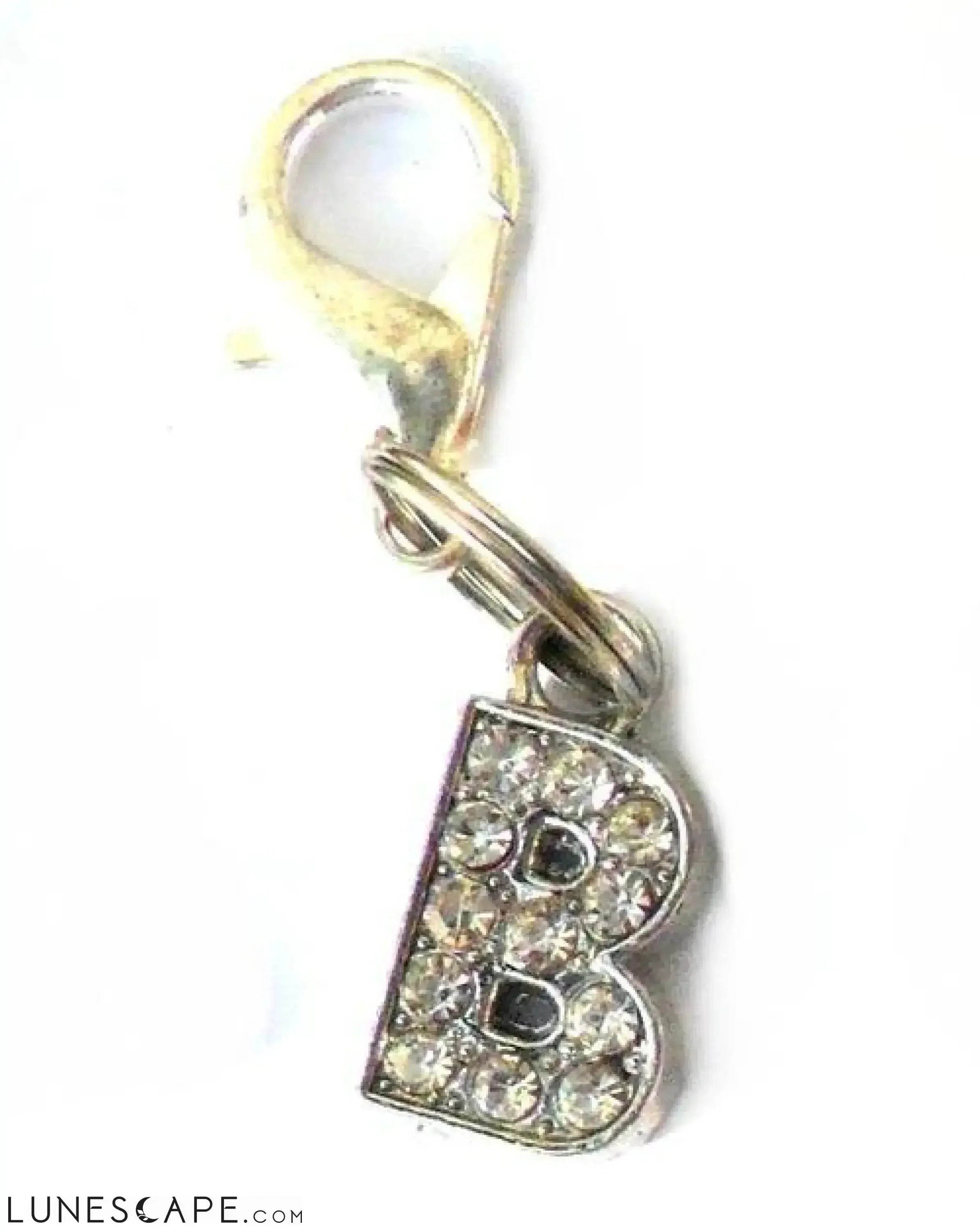 A-Z Crystal Letter Pet Charms LUNESCAPE
