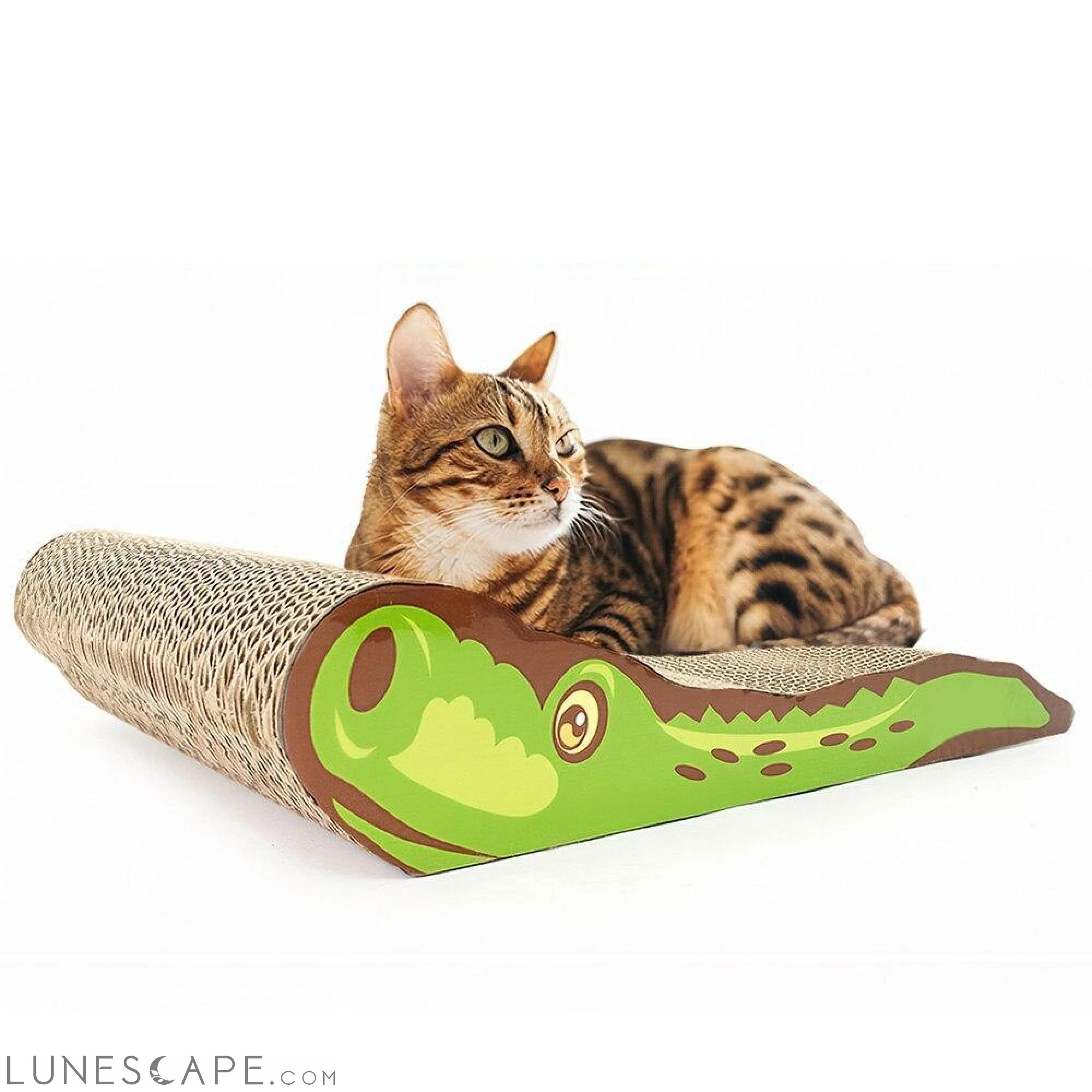 Alligator Scratch Ramp for Cats LUNESCAPE