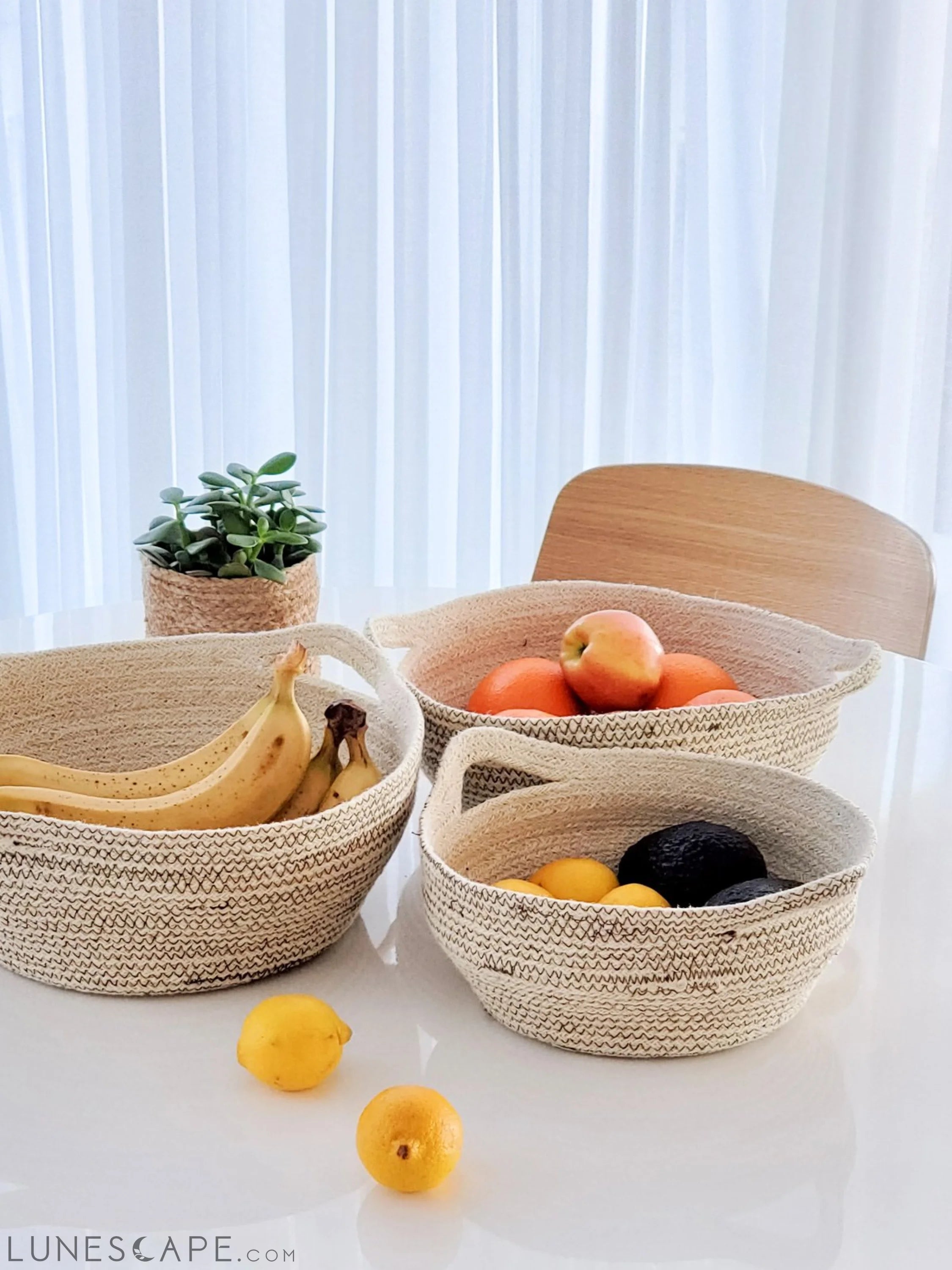 Amari Fruit Bowl - Brown LUNESCAPE